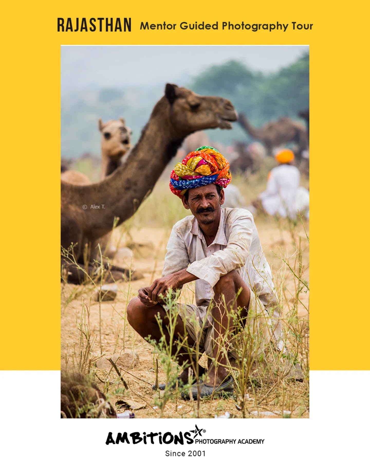 📸 Instagram Caption:
✨ Step into the vibrant soul of Rajasthan with your camera in hand!
Join us on a Mentor Guided Photography Tour from 1st – 9th November 2025 and capture the magic of camel fairs, bustling bazaars, colorful turbans, majestic forts, and timeless rural life.
Whether you’re an amateur or an enthusiast, this journey is designed to help you sharpen your skills under expert guidance, create breathtaking images, and immerse yourself in the rich culture of Rajasthan.
🌟 Highlights:
✅ On-field mentor guidance
✅ Street, travel & portrait photography
✅ Pushkar Camel Fair experience
✅ A perfect blend of learning & adventure
#RajasthanPhotography #PhotographyTour #PushkarCamelFair #TravelPhotography #MentorGuidedTour #AmbitionsPhotographyAcademy #RajasthanTour2025 #PhotographyWorkshopsIndia #TravelWithCamera