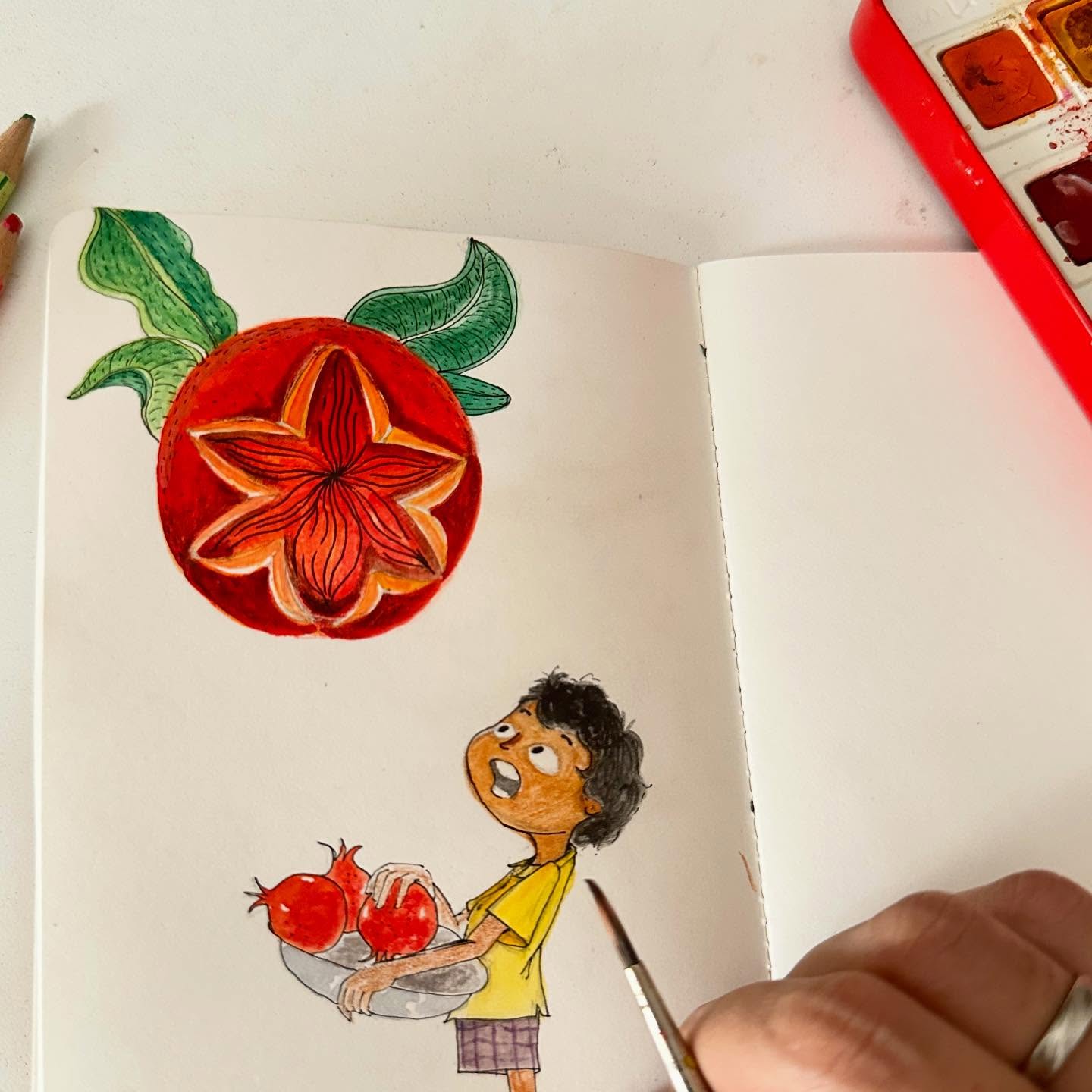 I saw a pomegranate flower for the first time 🌸