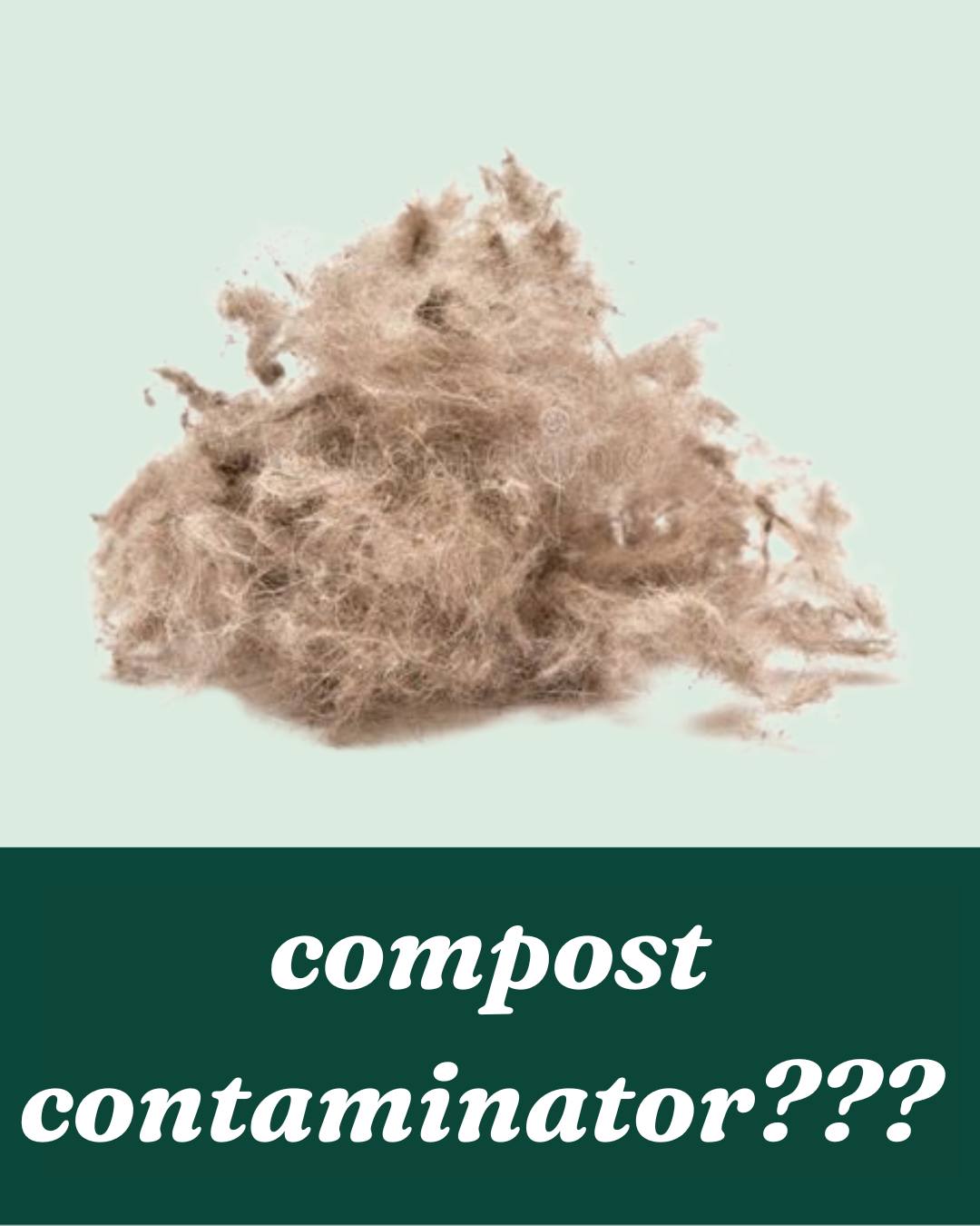 Roses are red. You compost your noodles. Did you know we take pet fur? So show us your Doodle! Pet's can compost too! Animal fur is fully compostable and we'll take it! Human hair too. #themoreyouknow #compostableornot #compost #sustainability #zerowaste #foodwaste #sustainableliving