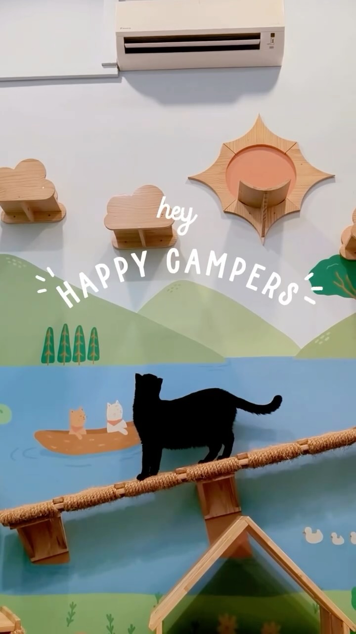We know leaving kitty isn’t easy...that’s why we’re always improving for our happy campers & their hoomans!
𝗖𝗮𝗺𝗽 𝗨𝗽𝗴𝗿𝗮𝗱𝗲𝘀
✨ stainless steel litter trays = fresher air + cleaner paws
✨ daily updates subscription now come with lodging reports
Book now and treat kitty to a staycation they deserve!
🔗campkittyjb.com/lodge
〰️
𝗖𝗔𝗠𝗣 𝗞𝗜𝗧𝗧𝗬
📍23 & 24-01 Laman Niaga Sunway, Persiaran Medini 3, Iskandar Puteri, JB