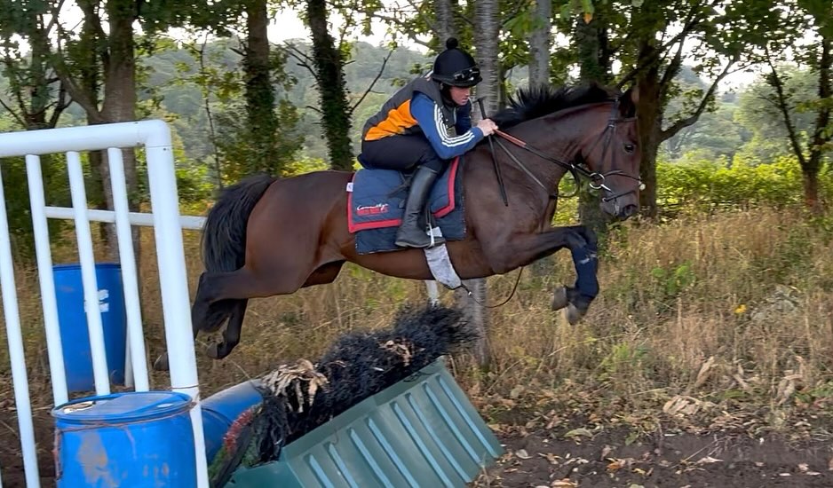 🌧️ 🙌Getting back in the groove now the rain is here 🙌🌧️ #thomassymondsracing #teamsymonds #herefordshire #nationalhuntracing #gundoggin #redmillshorsefeeds