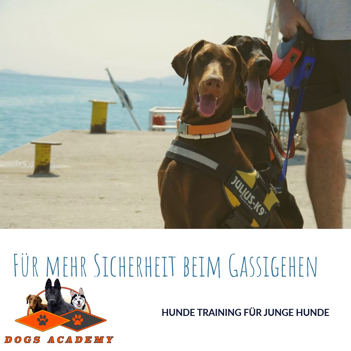 Euer Hund soll auch draußen brav und gehorsam sein, locker an der Leine laufen? Dann schreibt mir gerne😉und wir üben gemeinsam in kleinen Gruppen mit max. 4 Mensch-Hunde Gruppen.
Mail: dogs.academy@t-online.de