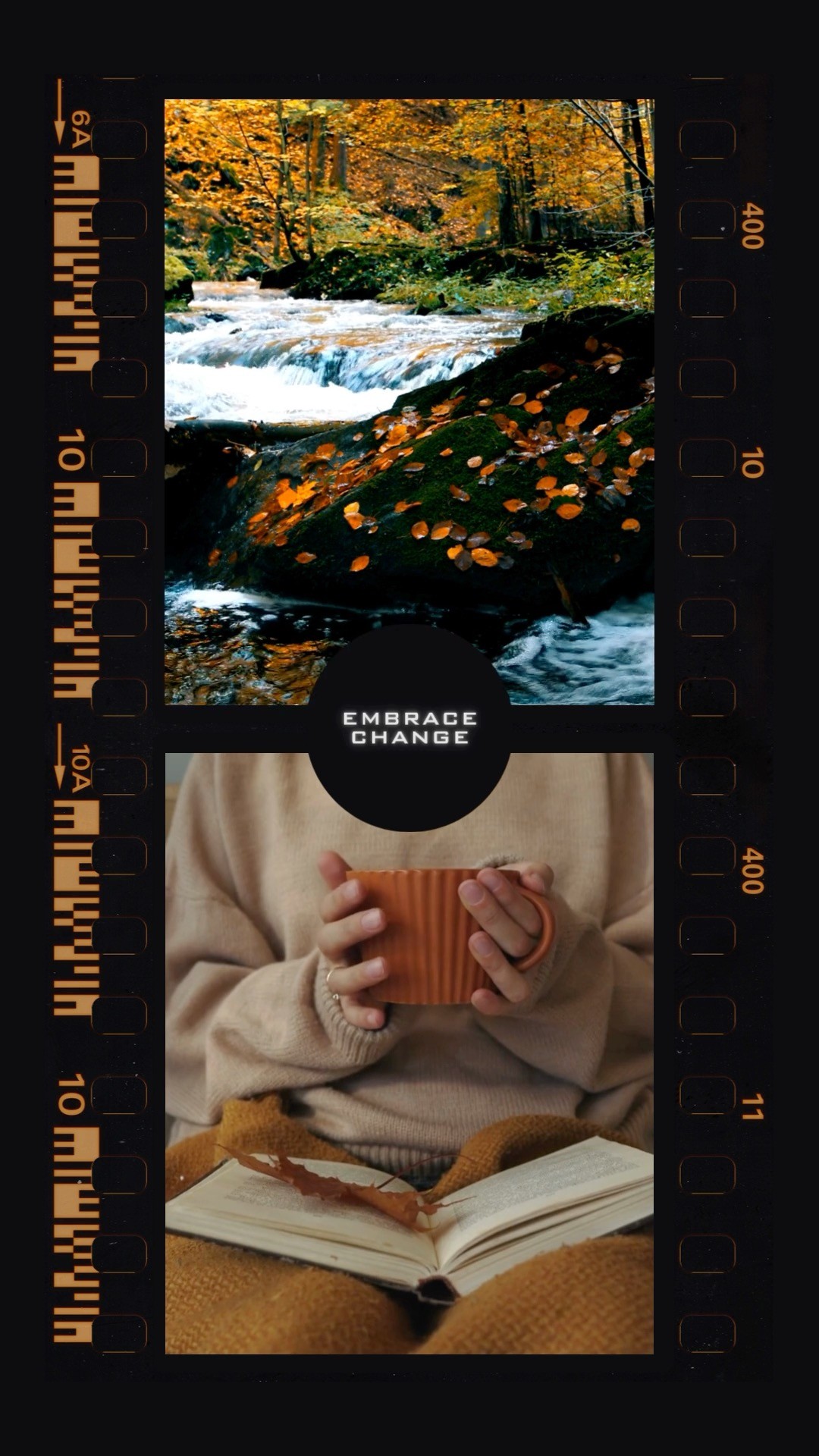 🍂 This autumn, let the trees teach you something: letting go isn't losing, it's making space for what's meant to grow. 🌱