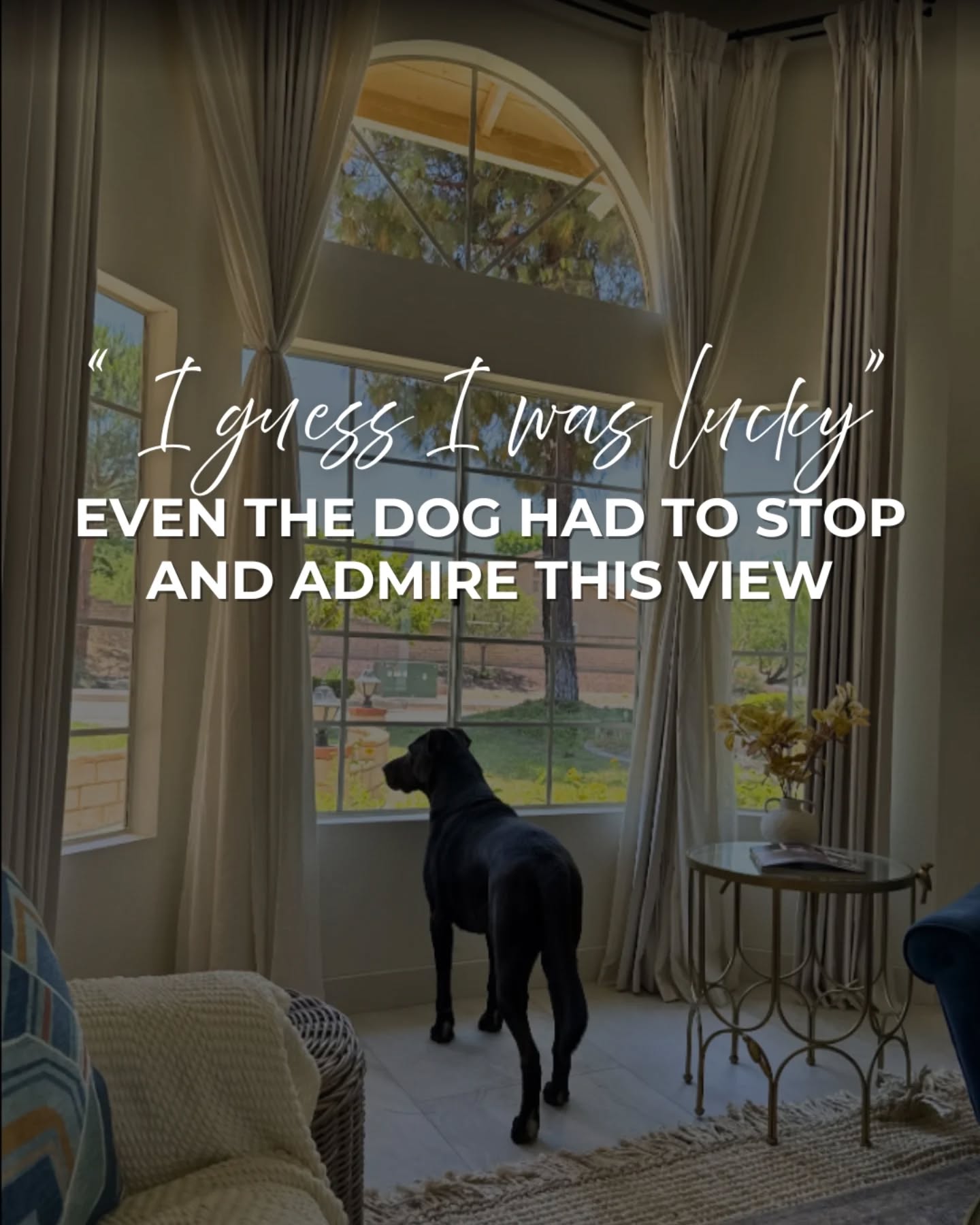 Even the lovely pup had to stop and admire the view! 🐶
☀️ Our customer shared this amazing shot, and we can’t get enough of how spotless the glass looks and how vibrant the outdoors shines through.
💎 With 730+ combined 5-star reviews on Google & Yelp, homeowners and businesses across Southern California trust us to brighten their homes.
📲 Calling us is the FASTEST way to reach us, and yes, we’ll give you a FREE, no-hassle quote.
Our Services:
🏢 Window Cleaning | Building Washing | House Washing
💦 Pressure Washing | Roof Cleaning | Gutter Cleaning | Solar Panel Cleaning
🪟 Screen Repair & Replacement | Glass Restoration | Holiday Lights Installation
📝 Licensed • Insured • Safety-Certified
❤️ Follow us for your FREE ESTIMATE
📞 714-831-7146
🌐 Website link in bio
#loyalexteriorcleaning #pressurewashing #windowcleaning #roofcleaning #guttercleaning #softwashing #windowscreen #powerwashing #cleaningservices #buildingwash #residentialcleaning #commercialbuilding #luxuryhomes #socalrealestate #cleaningcompany #socal #losangeles #halloweendecor #christmaslights #orangecountyca #socalhomes #propertymanagement #realestate #propertymanagers #realtor #exteriorcleaning