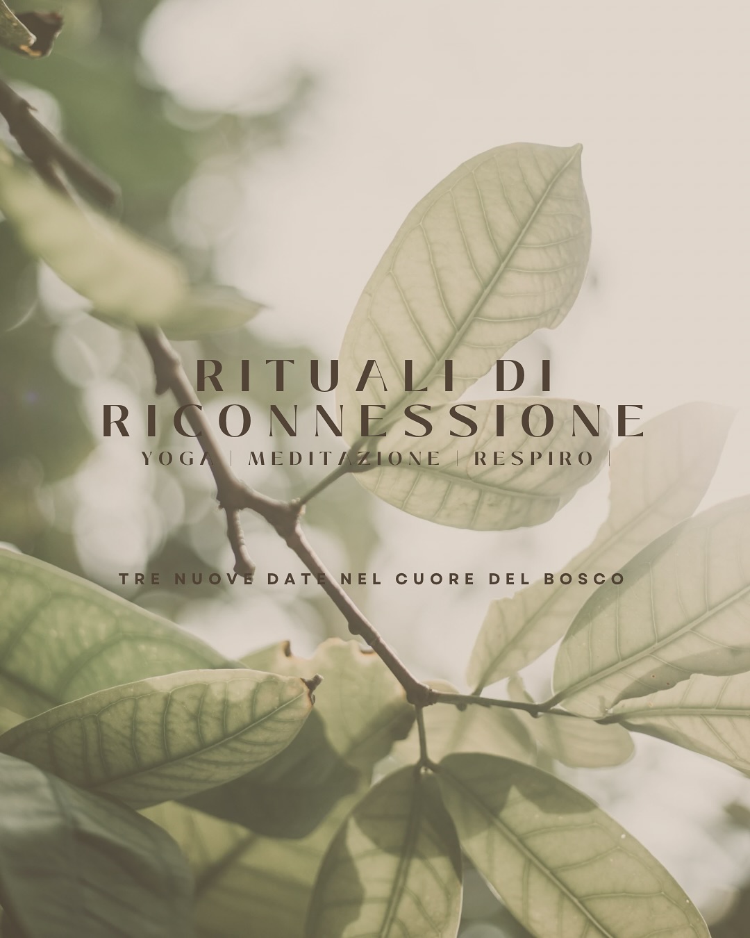 Tre nuovi appuntamenti per i Rituali di Riconnessione: giornate dedicate a yoga e meditazione nel cuore del Bosco Eremo Locatelli a Corbetta (Milano).
Un’occasione per rallentare, ritrovare energia e ascoltare in profondità.
📅 Date: 20 settembre, 4 ottobre, 11 ottobre
🕙 Orario: 10:00 – 12:00
📍 Bosco Eremo Locatelli | Corbetta (Milano)
Ogni incontro è un rituale di presenza e respiro, un tempo per rientrare in sintonia con la natura e con sé stessi.
I posti sono limitati, la prenotazione è necessaria.
🔗 Info e prenotazioni:
📧 eventi@peoplesrl.com
🌐 www.ilboscoeremolocatelli.com
#yogamilano #yogainnatura #yoganelbosco #meditazionemilano #benesseremilano #crescitarespersonale #yogaitalia #yogacommunity #mindfulnessitalia #yogamilan #yogapractice #ritualidibellezza #yogabosco #meditazioneitalia #milanoeventi
Yoga nel bosco
Meditazione immersiva
Eventi benessere Milano
Esperienze nella natura
Workshop di yoga Milano
Radicamento e respiro
Mindfulness nella natura
Eventi Corbetta Milano