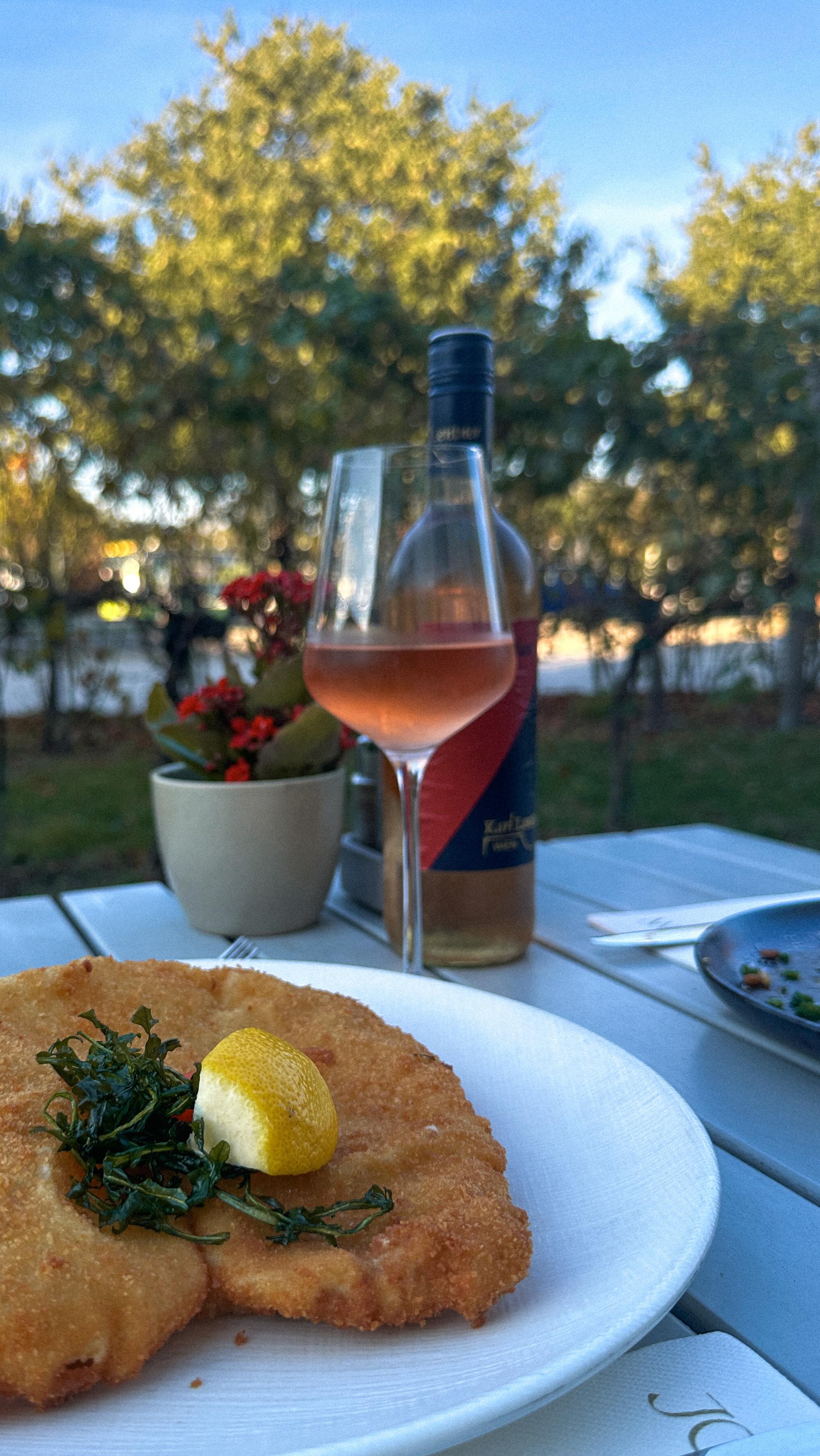 SCHNITZELFANS – aufgepasst! 🤗 Jeden Dienstag ist Schnitzel-Tag! 🤩 Die Fleischsorte variiert wöchentlich – als Mittagsmenü oder Tagesteller, solange der Vorrat reicht. 😉
Wir freuen uns auf euch!
#SchlossSchönbrunn #Vienna #VisitVienna #VisitSchlossSchönbrunn #kochen
#Joseph2 #Kochtipps #Restaurant #RestaurantWien #Wien #Vienna #FoodGuideVienna #Foodguide #WienerKüche