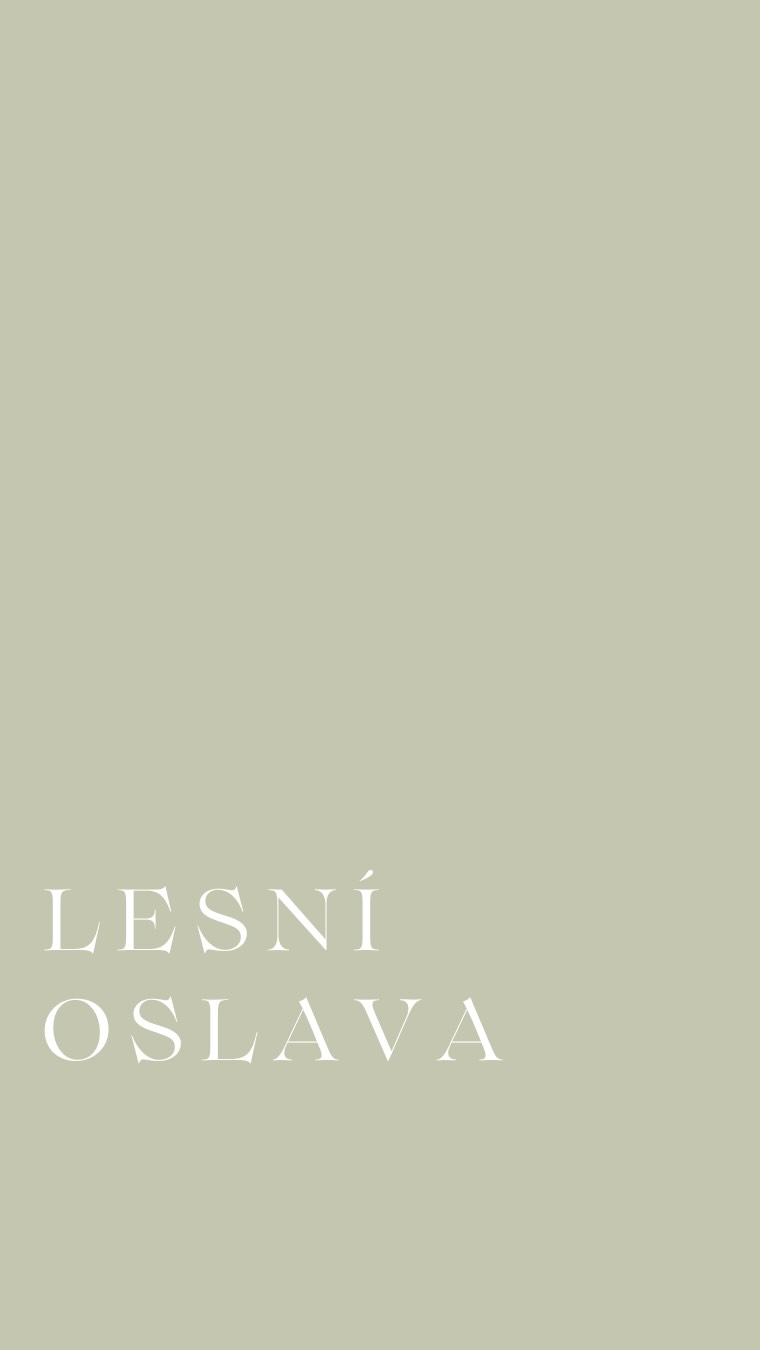 Jedna lesní oslavička pro 2 malé raubíře 🦊🌲
#eventmanager#detskaoslava#oslavy#eventovaagentura