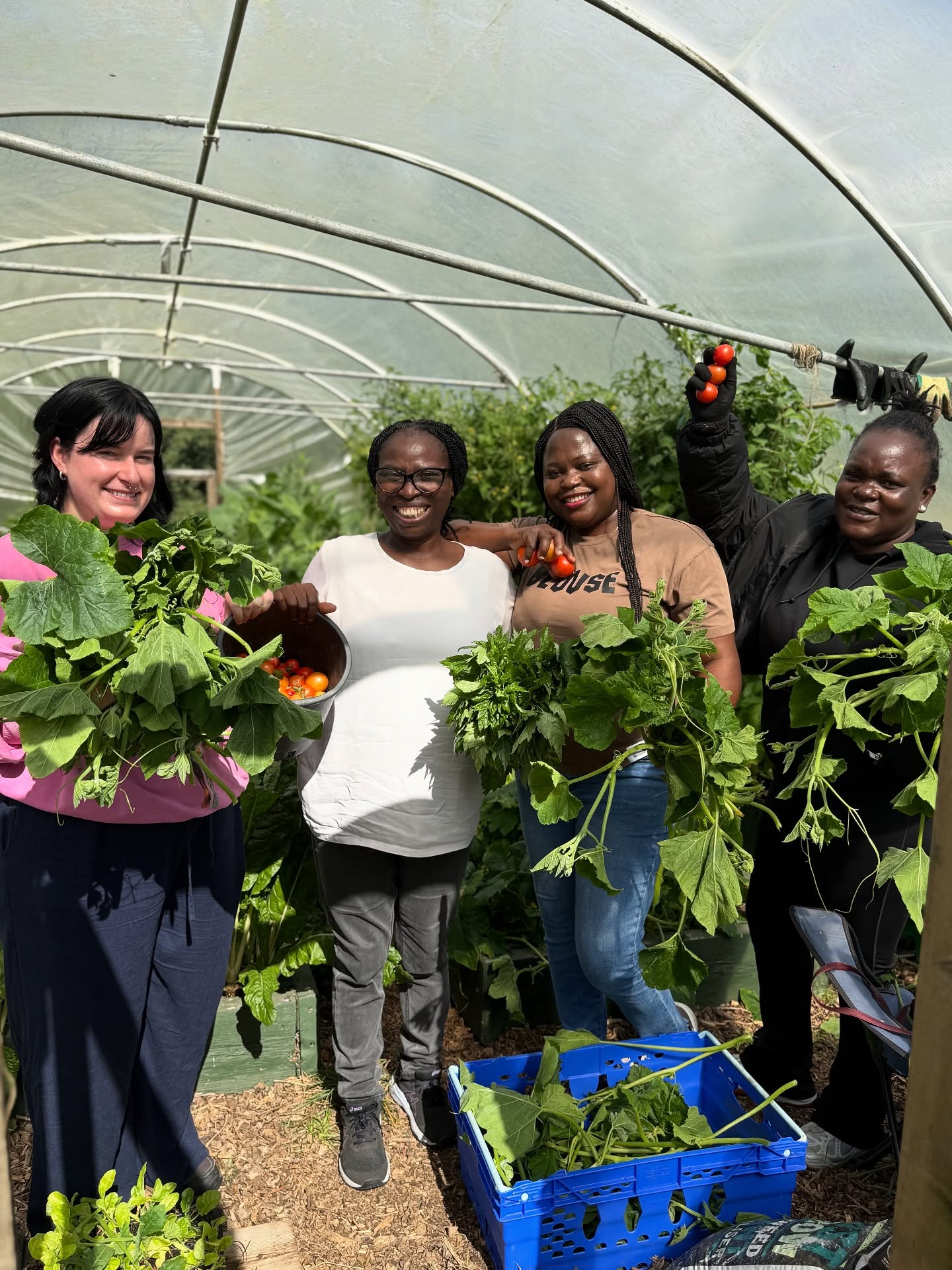 From the soil to the table – IG keep communities nourished and strong 💚
🍅 Tomatoes – Vitamin C, lycopene & antioxidants → good for skin & heart health ❤️
🥬 Kale (Sukuma Wiki) – Iron, calcium & fiber → strong blood & digestion 🌿
🌿 Pumpkin Leaves (Ugu / Chibwabwa) – Vitamins A & C + folate → boosts immunity & energy 🌞
🌱 Polyculture (mixed planting)
Planting tomatoes, kales, and pumpkin leaves together:
• Improves soil health 🌍
• Reduces pests naturally 🐞
• Provides families with balanced nutrition 🥗
• Strengthens food security 🌾
👩🏾🌾 These women aren’t just harvesting vegetables – they’re harvesting health, resilience, and hope for their families and communities. 💪🌿
Would you love to visit a garden like this? 🌱💚
#WomenInAgriculture #AfricanSuperfoods #FoodIsMedicine #GardenToTable #HealthyEating