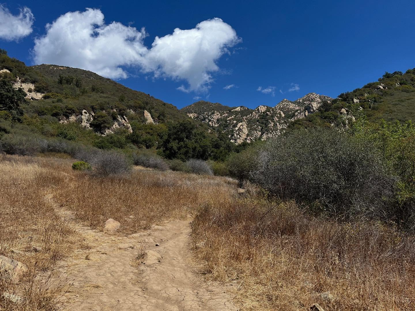 Enjoying a break from the spring rain, in the California sunshine ☀️ #natureismedicine #rattlesnakecanyon