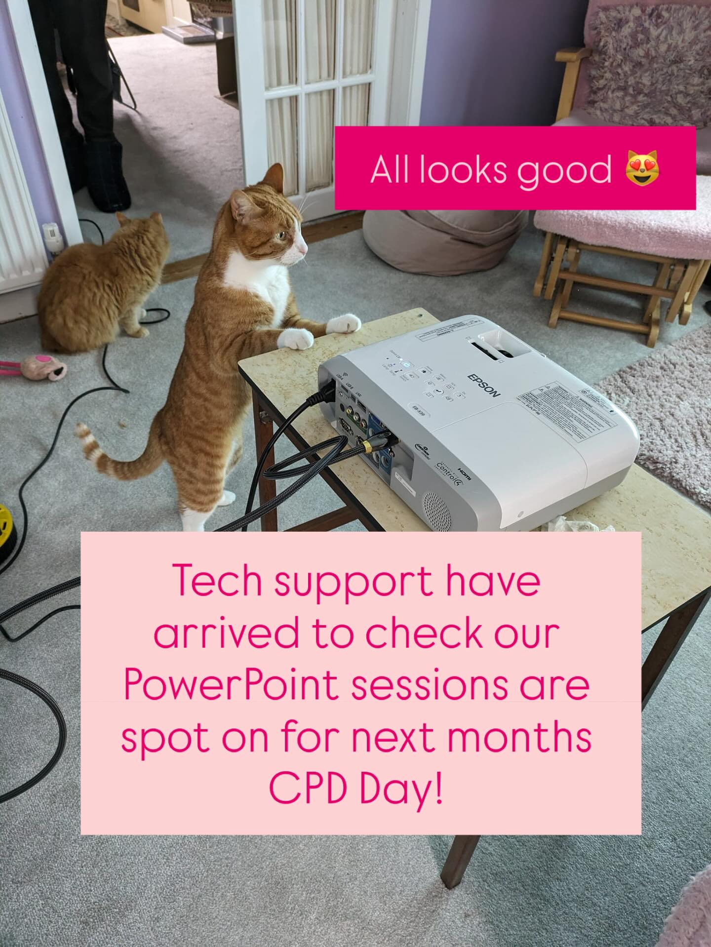 We do our very best for every single event we hold, or that I attend- that everything runs as smoothly and easily as possible. Which means lots of prep- including seeing what our slides look like on a big screen- thankfully tech support were on duty today to help 😻😻😻 We have a few tickets left for our Anaesthesia, Analgesia and Dentistry CPD Day at the end of next month- all the info and tickets can be found on our website 👍🦷👀🐾