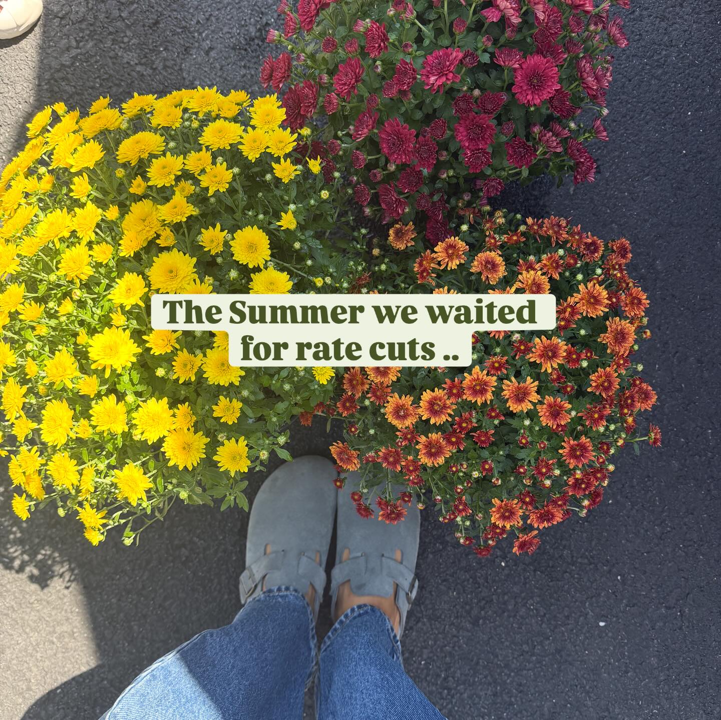 The Fall we saw rates come down!
As rates ease, more doors start to open- literally! Lower monthly payments could help you step into that dream home you’ve been eyeing before the holidays. Fall is about fresh starts, and the market is lining up perfectly 🍂👀
Congratulations to all seven buyers and sellers currently in escrow or just closed! Your trust matters immensely. 🫶