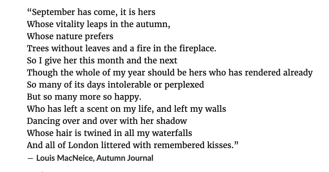 It’s meeeeeee. I absolutely love the turn of the year into autumn and usually mark it by reading Autumn Journal by Louis MacNiece, a book length poem written over 1938-39. My copy is in storage this year but I remember much of it. I wore socks in bed last night. Thrilled I tell ya. #autumn #treeswithoutleaves #september #louismacneice