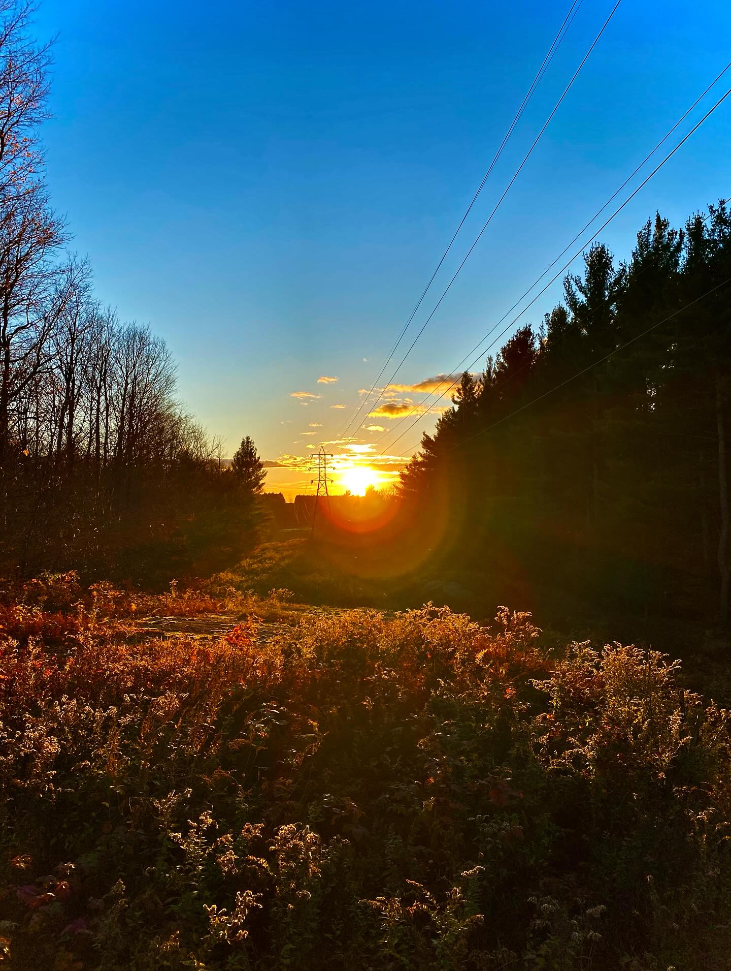 The sun is setting on summer. The countdown to campfires, cold nights, and the magic of fall in the Adirondacks is on!
Check us out 👉 Sundayloon.com