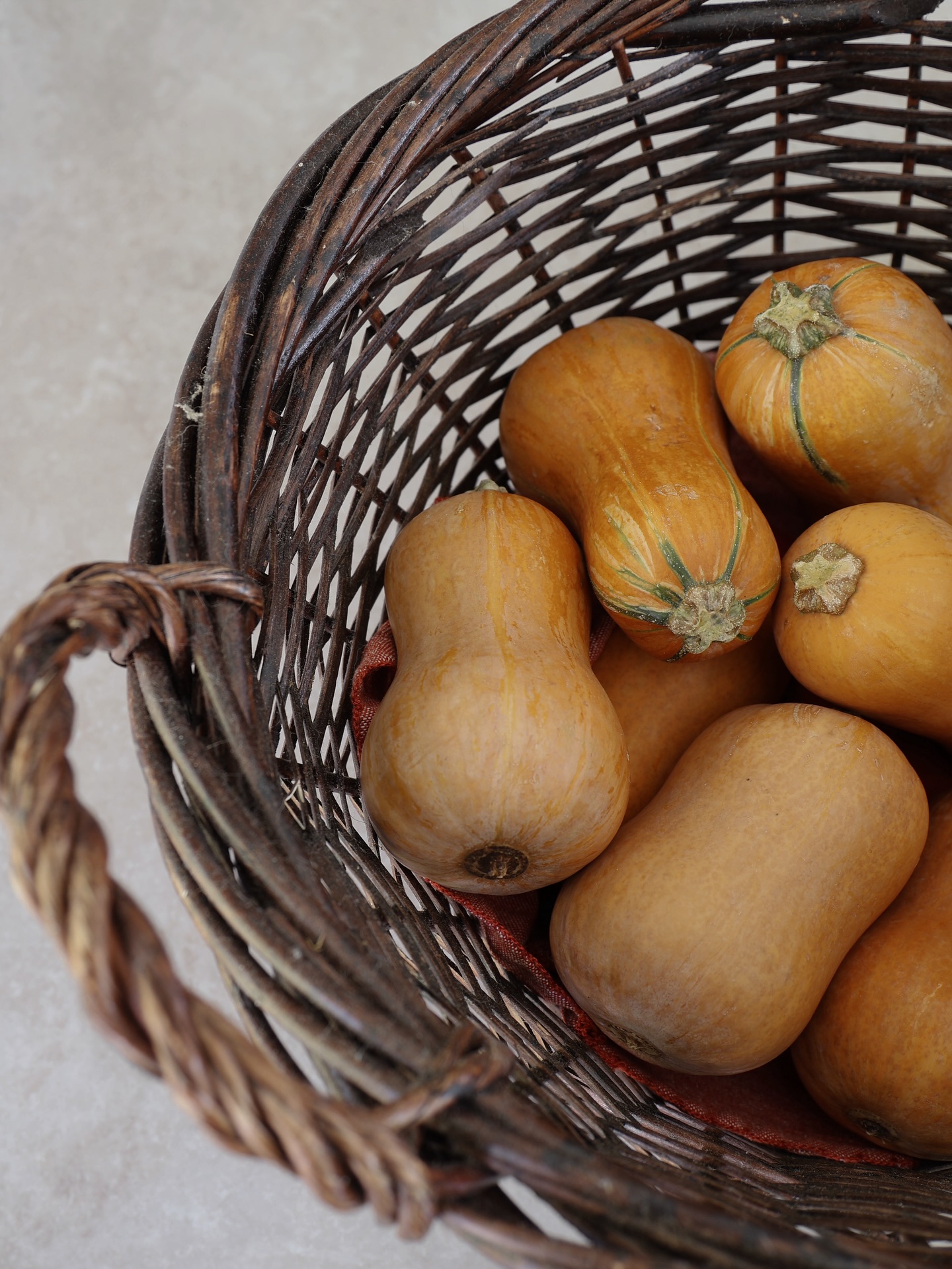 Honeynut seasonโฆ think Iโll roast these cuties and make some soup ๐โจ๐ฅ
#autumn #autumncolours #fallrecipes