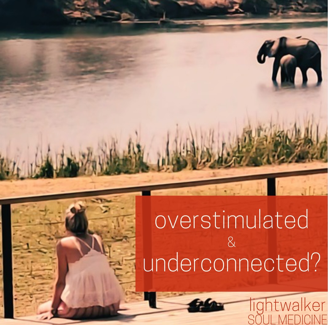 🔥Rewilding Your Soul🔥
🌿30 Jan 2026
🌿Sashwa River of Stars, Greater Kruger National Park South Africa
🌿Bookings now open
🌿Link in bio
Photo credit: @misterdylanyo 🙏
#retreat #safari