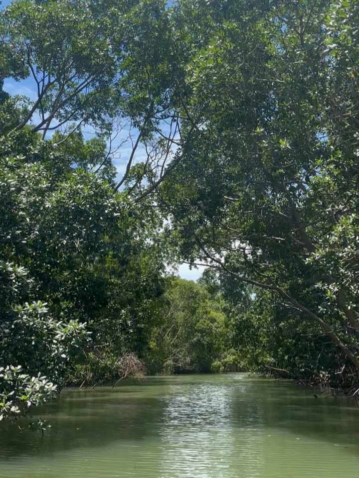 📍 Delta do Parnaíba
Fotos atrasadas dos dias 100% off-line
Férias já estou com saudades 😮💨