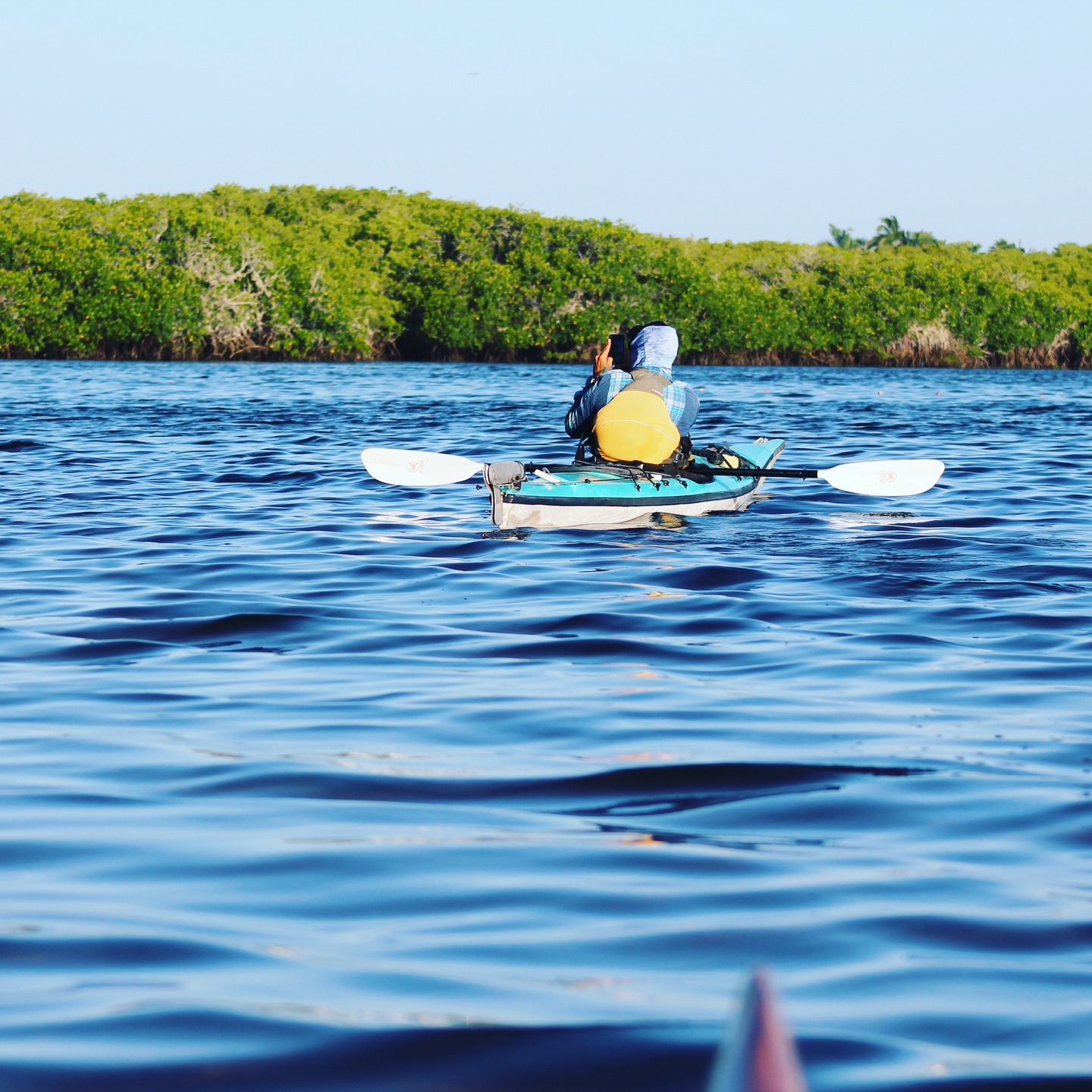Salida en kayak 🛶🌿
Salimos a remar unos 6 km por la mañana en busca de aves, y a sacarle el polvo a los kayaks, y durante la pequeña ruta vimos Garza rojiza (caza haciendo sombra), Cormorán neotropical (seca alas abiertas), Garcita verde juvenil (rayada, pesca al acecho), Garceta nívea (pico negro y “sandalias” amarillas; zapatea el agua) y Martinete corona negra (ojo rojo, más activo al atardecer) y salieron algunas fotos buenas.
Observación responsable: distancia, silencio y nada de alimento.
Puerto San Carlos
Murillos Bros Adventours
#BahíaMagdalena #Kayak #Aves #Manglar #MurillosBros #MagBay
@canonmexicana