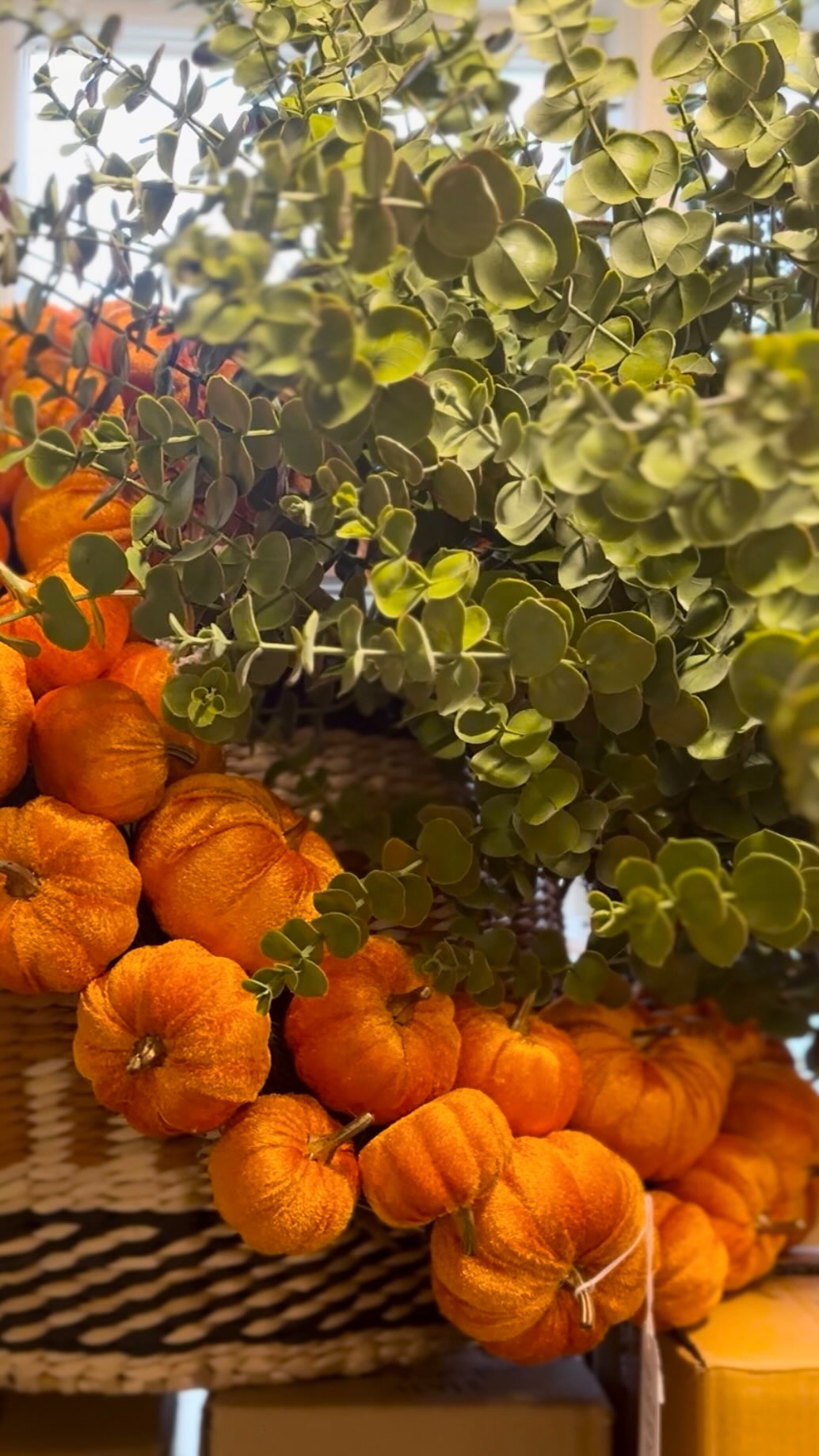 A busy day unpacking our autumn/winter décor 🍂 Keep a look out for new collections in our showroom from the softest throws, colourful cushions, wicker baskets and beautiful lamps for cosy nights!
#petersilkofhelmsley #autumnstyle #interiordecor #newarrivals #winterstyles #interiorstyling #lamps #cushions #fauxfurthrow #wickerbasket #helmsley