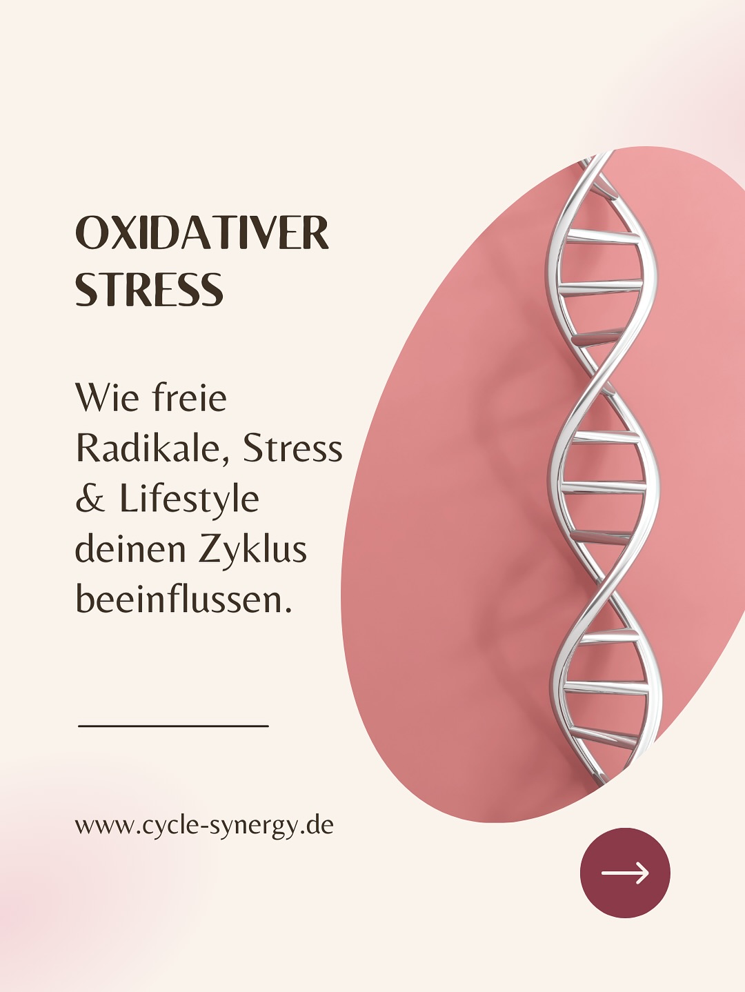 ✨ Oxidativer Stress – schon mal gehört?
Klingt kompliziert, spielt aber eine zentrale Rolle für deine hormonelle Balance und dein Wohlbefinden. Hierbei geht es um das Gleichgewicht zwischen sogenannten freien Radikalen (Oxidantien) und Antioxidantien.
Unser Körper bildet ständig freie Radikale – kleine Moleküle, die bei der Atmung oder in der Immunabwehr entstehen. In kleinen Mengen sind sie völlig normal und sogar nützlich. Damit sie jedoch keinen Schaden an den Zellen anrichten, brauchen wir Antioxidantien – natürliche Schutzstoffe, die freie Radikale neutralisieren.
⚠️ Problematisch wird es, wenn zu viele freie Radikale entstehen (z.B. durch Stress, Umweltgifte, Schlafmangel oder Entzündungen) und Antioxidantien fehlen. Dann kippt das Gleichgewicht – und oxidativer Stress entsteht.
💡 Warum das für uns Frauen besonders wichtig ist:
* Die Eizellqualität kann leiden – ein Thema u.a. bei Kinderwunsch
* Die Balance zwischen Östrogen & Progesteron kann gestört werden → Zyklusprobleme oder PMS
* Erkrankungen wie Endometriose oder Schilddrüsenstörungen stehen in Zusammenhang mit oxidativem Stress
Die gute Nachricht: Antioxidantien können über die Ernährung aufgenommen werden, z.B. aus:
* Frischem Obst (insb. Beeren) & Gemüse
* Omega-3-Fetten (z.B. aus Fisch oder Algen)
* Nüssen & Samen
* Grünem Tee / Matcha
* Kakao / dunkler Schokolade
👉 Ich mache gerade eine Ausbildung zum Nextvital Professional, wo es genau um solche Themen geht. In den nächsten Wochen teile ich hier mehr spannende Insights! 😊
💬 Schon mal von oxidativem Stress gehört? Schreib’s in die Kommentare!
Quellen:
* Nextvital Professional Ausbildung, Sept 2025 (@nextvital, @dr.thomaspeter )
* Scutiero, G. et al. (2017). Oxidative Stress and Endometriosis: A Systematic Review of the Literature. Oxid Med Cell Longev. 7265238. PMID: 29057034
* Luddi, A et al. (2016). Antioxidants reduce oxidative stress in follicular fluid of aged women undergoing IVF. Reproductive Biology Endocrinol. 14(1):57. PMID: 27604261
#zyklusgesundheit #hormongesundheit #oxidativestress #frauengesundheit #nextvital #antioxidantien #ganzheitlichegesundheit