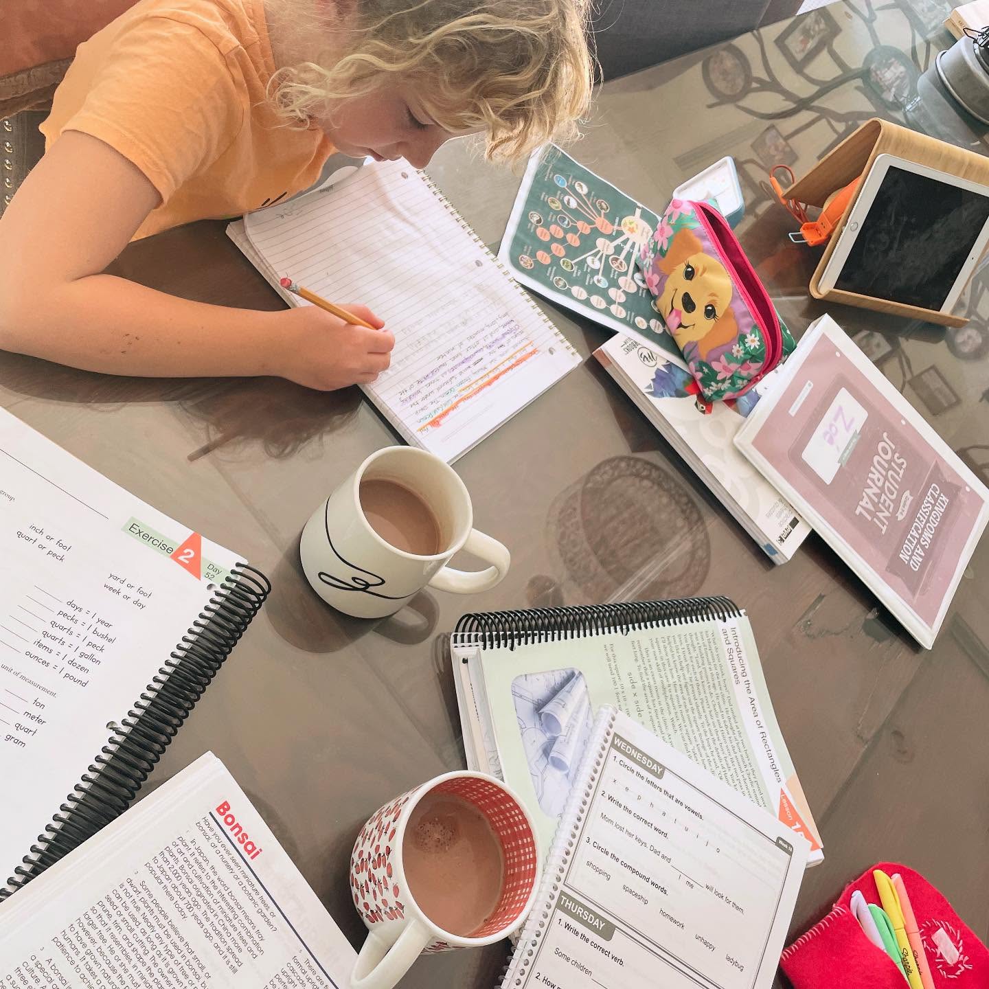 One of my kids’ favorite things about homeschooling? The simple little comforts that make learning cozy.
🌿 Warm cups of tea while doing math
🌿 Reading stories curled up in bed
🌿 Learning in a space that feels like home
Sometimes it’s the little things that make the biggest difference. 💛
👉 What small joys make your homeschool days special?
#CozyHomeschool #SimpleHomeschool #HomeschoolLife #MorningRhythms #HomeEducationJourney #homeschool #homeschoolingincanada #homeschoollifestyle