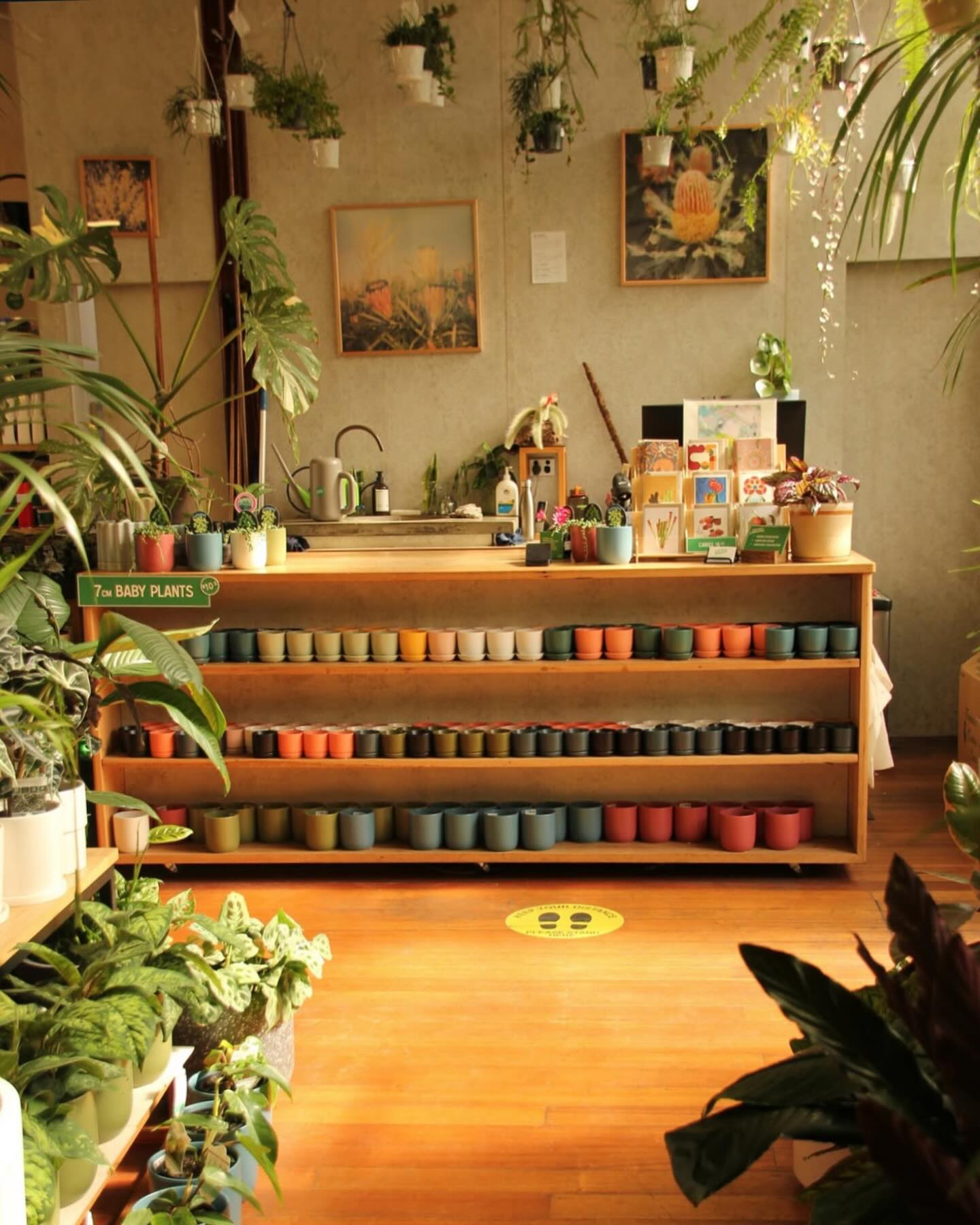 🌱 Now Hiring: Nursery or Retail Manager – Inner City Melbourne
We’re seeking an experienced Nursery or Retail Manager to oversee daily operations, lead a motivated team in our established garden nursery.
The role combines staff leadership, plant and stock management, and customer engagement in a inner-city setting.
🌿 Great team culture | 💼 Competitive package
👉 Apply with CV to info@lygonstnursery.com