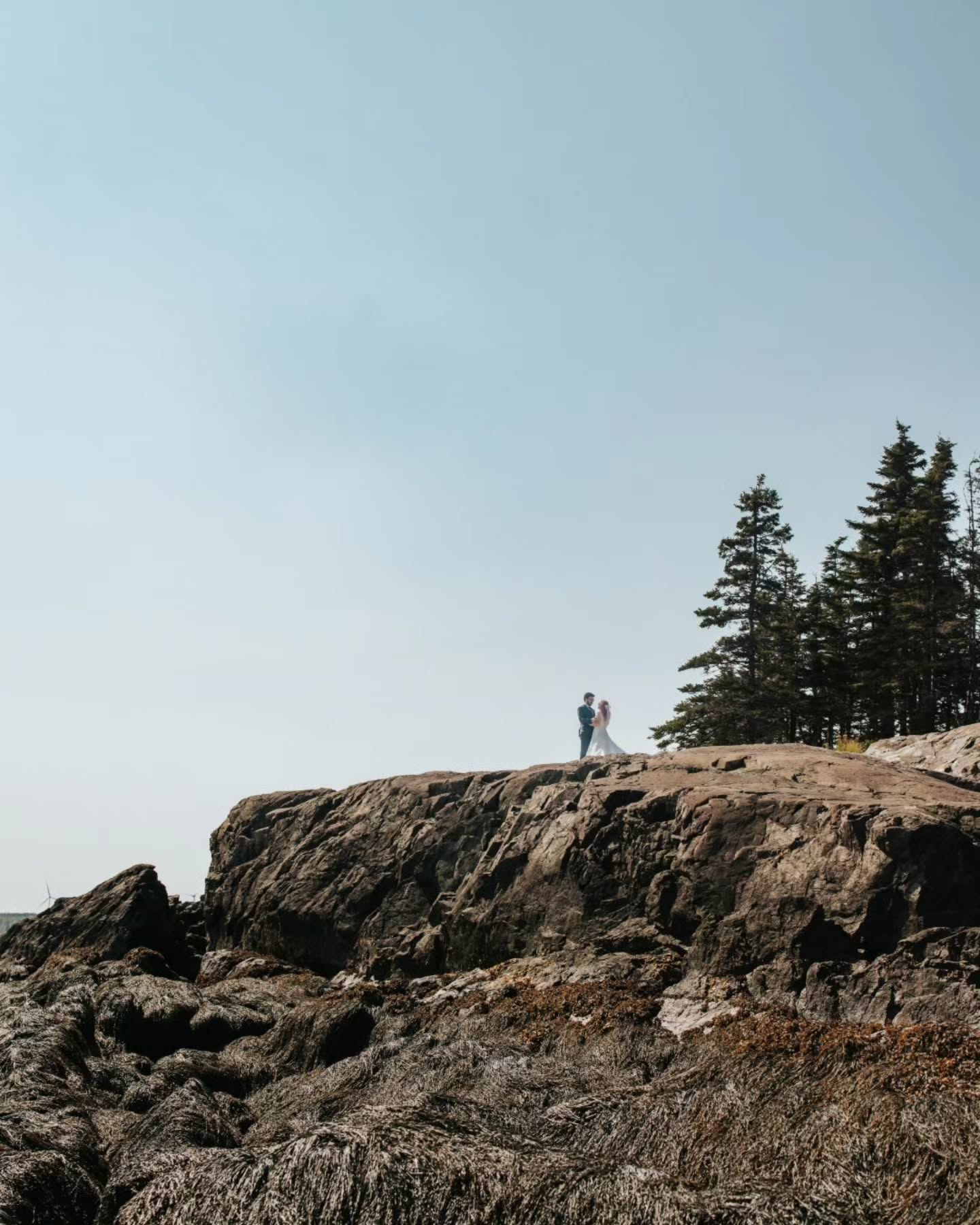 Throwback to one of the most gorgeous elopements I shot last year at @irvingnaturepark
Chantal & Ben picked some of my favourite waterfront views, and it has me daydreaming about this magical day all over again.
I can't wait to roll out our new all-inclusive elopement packages with @nb.microweddings for more beach weddings next year 🌊
Secondary photographer @alyssahayes.photography