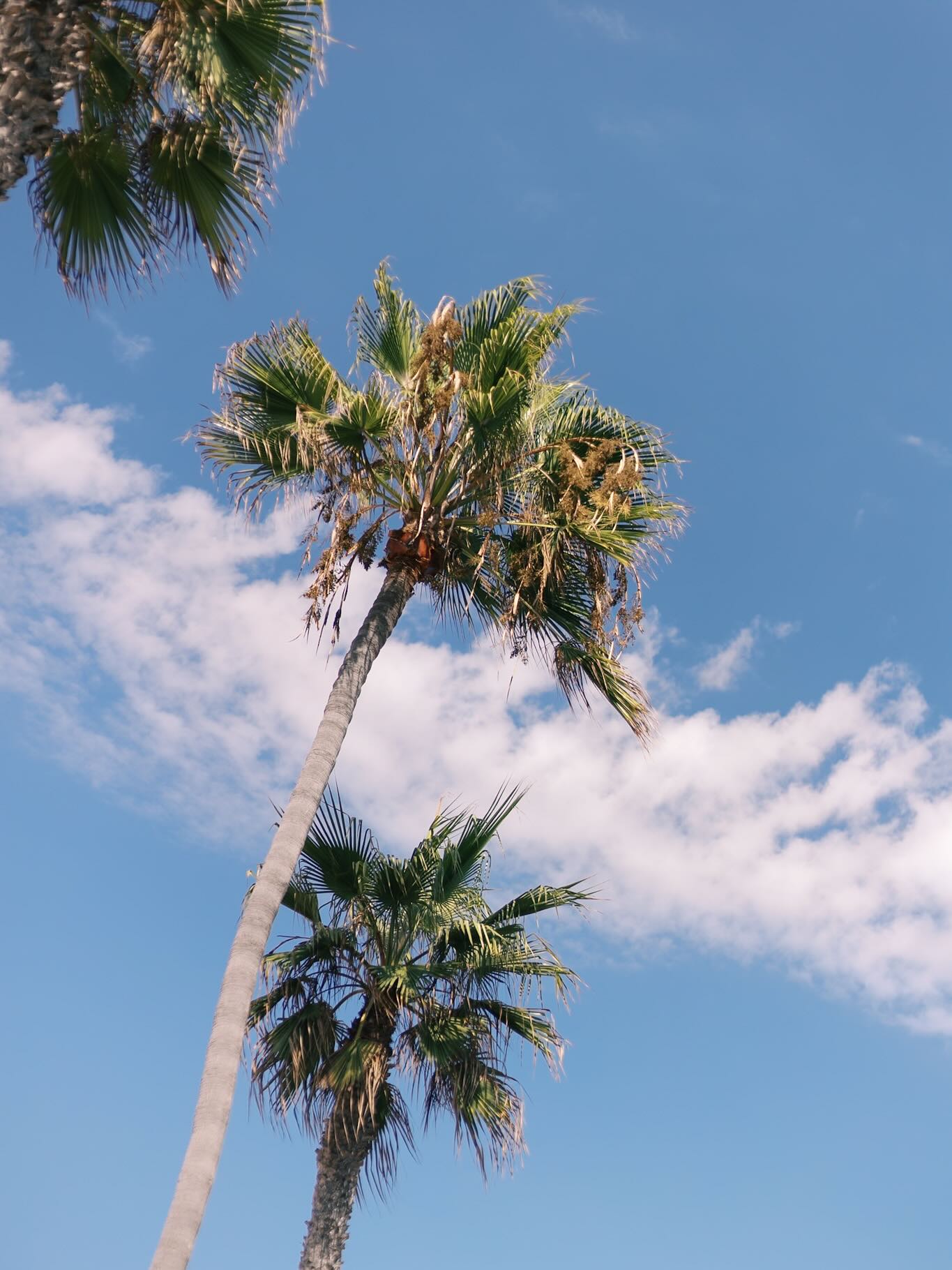 s š¢ l š¢ o š¢ w š¢ ing down this week on vacation with the fam. Hope youāre having a great week!
(But not so much that I didnāt just launch Holiday Minis. Head to your inbox to snag a spot!)