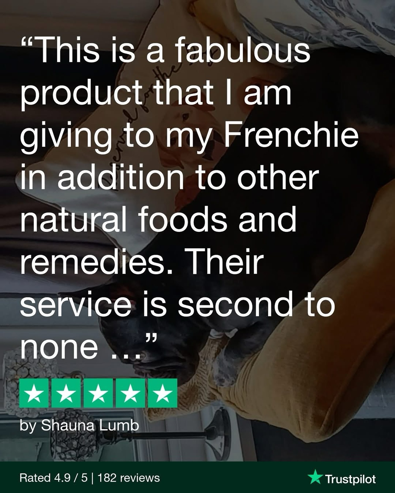 Frenchie Wellness, The Natural Way 💜
Shauna’s Frenchie is living their healthiest life yet - thanks to a blend of natural remedies, wholesome food, and OxyPet.
We’re so happy to be part of her toolkit and grateful for the kind words.
Thank you for being a valued part of the OxyPet community, Shauna.
📍 back in stock soon: https://www.oxypet.co.uk/product-page/oxypet-oxygen-water-subscription
The truth is pets who have super hydration will have an advantage and easier life.
#HealthyDogs #DogWellness #PetParents #DogsOfInstagram #OxyPet #PetCommunity #Chihuahuas #DogHealth #FlatFacedBreeds #PetWellness #HealthyDog #DogCareTips #OxyPet #PetEducation #Dogs #FrenchBulldogs #BoxerDogs #Pugs #EnglishBulldogs #BrachycephalicDogs