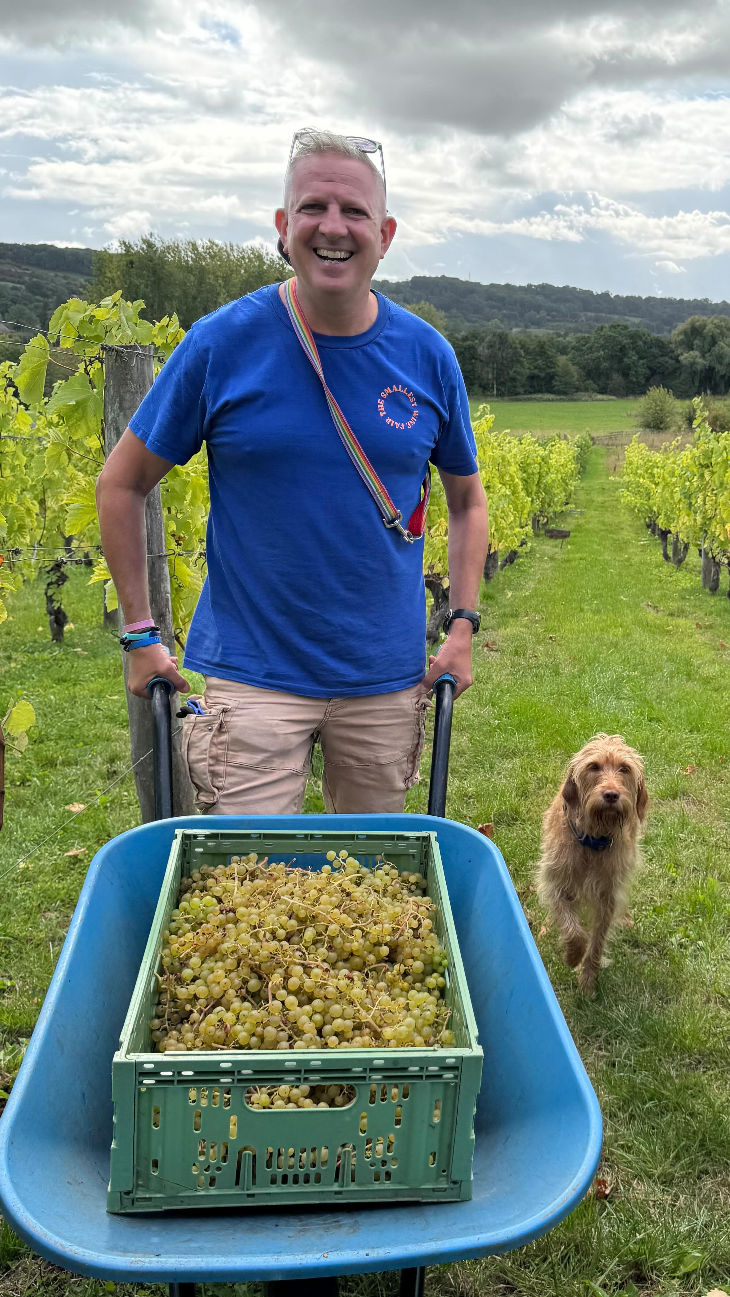 GOOD DAY SUNSHINE âïž
Good news: After the hottest summer on record harvest has come three weeks early đ
Bad news: itâs been raining all week âïž
Luck was on our side in Herefordshire this morning, the storm clouds parted and we enjoyed glorious sunshine for our pick of Madeline Angevine from Frome Valley Vineyard đ
If youâve enjoyed the taste of the Lost in a Field âFrolicâ pĂ©t-nat over the last few years then youâve been enjoying the taste of Madeleine Angevine, always our largest component and itâs what gives the Frolic itâs juicy, fruity, fun filled vibe đ
This year weâll be pairing it with an almost equal proportion of the wonderfully exotic Schönburger (the GewĂŒrztraminer of England!) - I canât wait to taste the results đž
Many thanks to Jeanie and Ian from Frome Valley Vineyard for growing this wonderful fruit and preserving their 36 year old vineyard of rare and scarce heritage grape varieties. (wine geeks note the under vine mulch using sheepâs wool!) đ€
And thanks to our intrepid team of pickers, Jeanie, Hugh, Wavell, Bella, Rachel, Ryan and Jeanie đ
@lost_in_a_field @fromevalleyvineyard @winegb @lescavesdepyrene @defined_wine đ đŽó §ó ąó „ó źó §ó ż đŠ #frolic #englishpĂ©tnat #BRĂT-NAT #drinktheđ