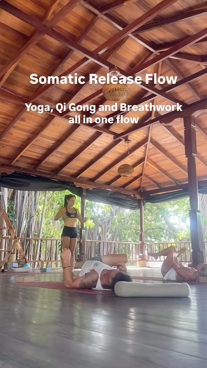 It’s not about doing arm balances, but balancing our nervous system — so we can move, feel, and flow more freely in our body and in our life. ✨
Somatic Release Flow is like yoga, Qi Gong, and breathwork had a baby:
✨Release stored tension and stuck energy in the body
✨Toning and regulate the nervous system
✨Improve energy flow and mobility
✨Connect more deeply with your body and intuition
✨Move with more freedom, ease, and presence
👇 Which SRF online experience would you like to join?
This practice isn’t about perfection — it’s about listening, feeling, and letting your body guide you. 🌿💫
#SomaticReleaseFlow #NervousSystemHealing #YogaQiGongBreathwork #MoveFeelFlow #BodyMindConnection #SomaticHealing #EnergyFlow #FreedomInMovement #Qigong #yogaretreat