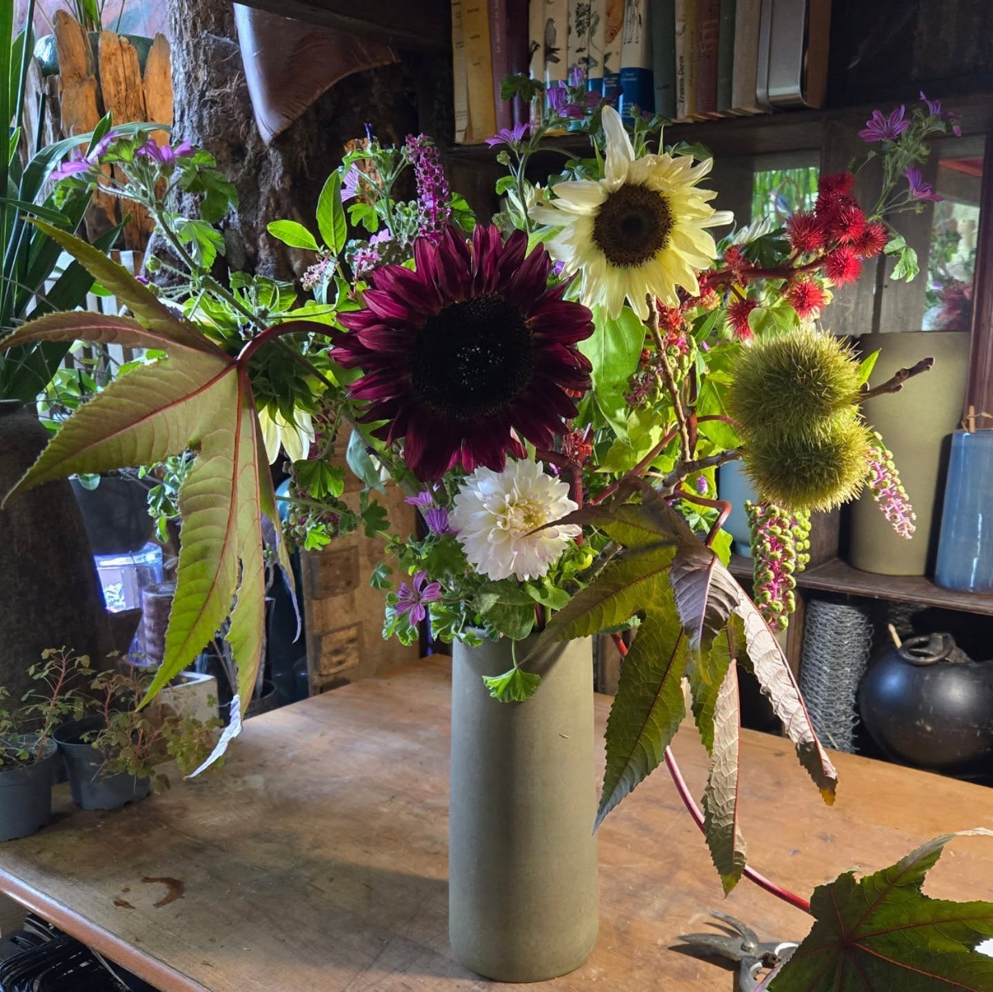 Last summer flowers from @lobservatoire.paris