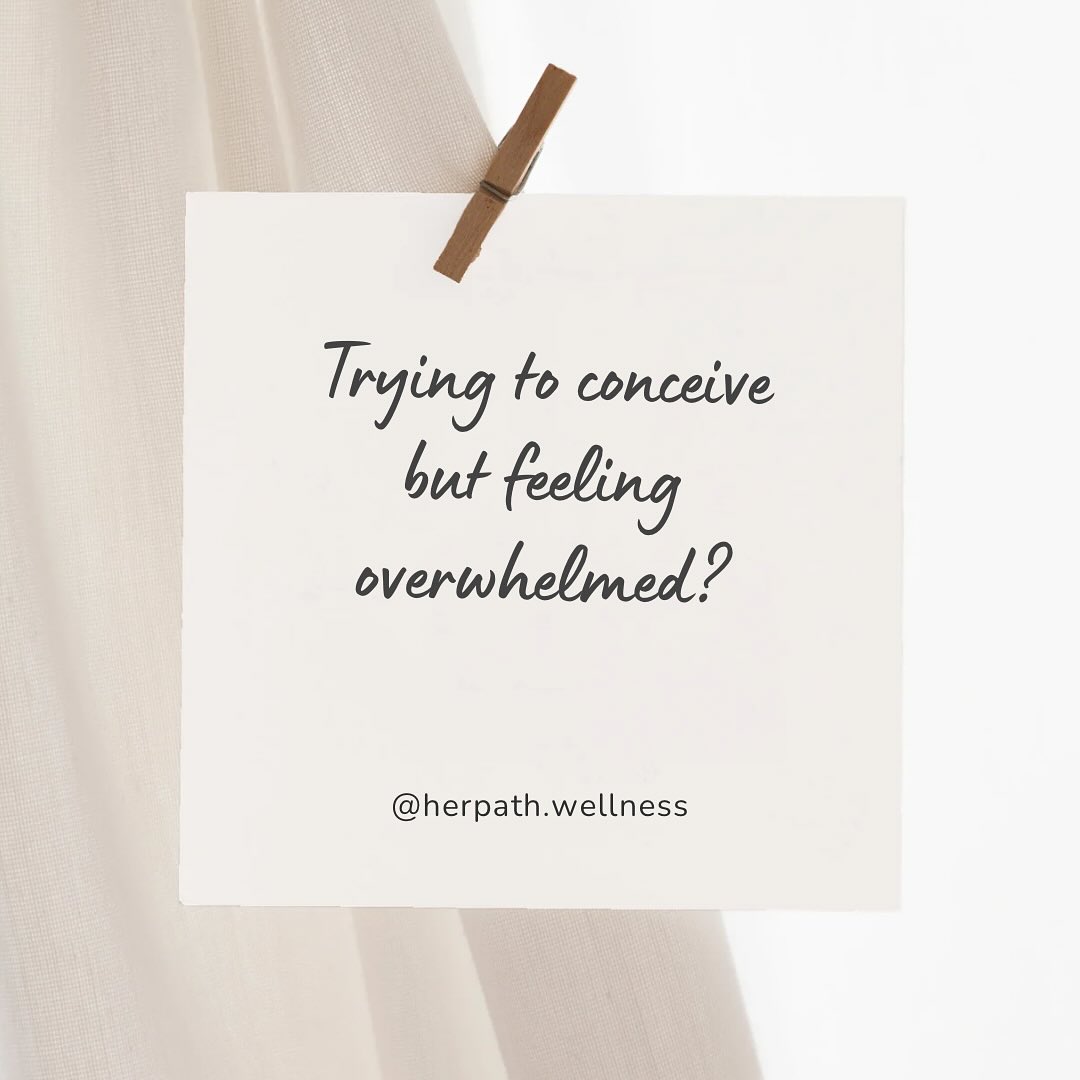 Something new is blooming at HerPath
In just two weeks, I’ll be opening spots for my Virtual Fertility Support Services
These sessions are designed to support your body before and during your TTC journey through:
Personalized nutrition + lifestyle guidance
Cycle awareness education
Stress + nervous system support
Available worldwide, from the comfort of your home
If you’ve been feeling overwhelmed with apps, supplements, and conflicting advice — this is for you.
Stay tuned for the official launch — or send me a message if you’d like to be the first to know when booking opens! #fertilitysupport #ttcjourney #fertilitycoach #tryingforbaby #ttcsupport #fertilitywellness #fertilityjourney #fertilitynutrition #fertilitytips #ttccommunity