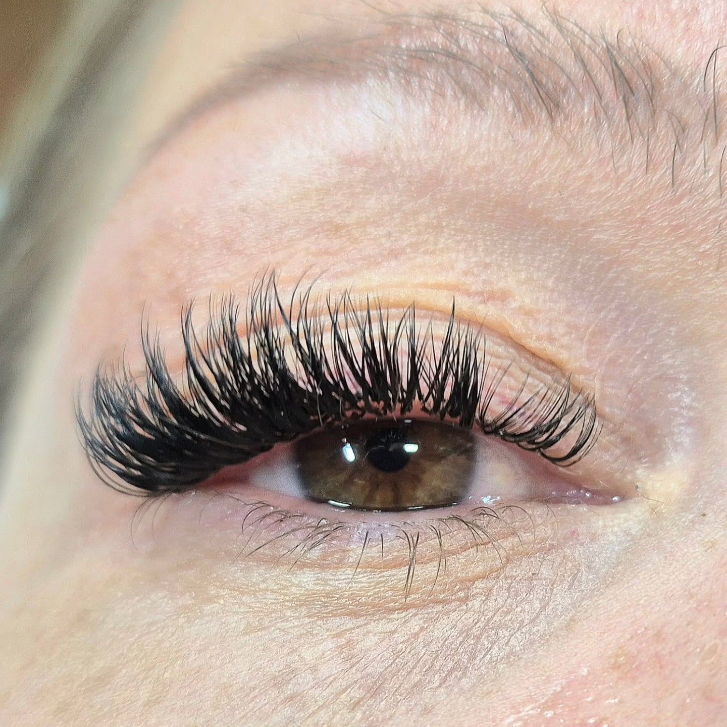 Wet lashes mix#volumelashes #vippeekstensions #eyelashextensionsoslo #oslovipper #volumvipperoslo #vippeextensionsoslo #vipperextensions #vipperoslo #oslovipper #vipper #beautyoslo #vipperoslo #vipperartist#vipperfrogner #classiclashesextensions #eyelashdesign #vipperskøyen #vippermajorstuen #våtevipper #wetlasheseffectoslo#vippeløftoslo #eyelinereffectoslo# eyeshadoweffect #whispylashes#mixvipperoslo#hybridvipperoslo#vipperrøa#vipperbærum#vippersmestad #røavivver #vipperhøvik #vipperullern #