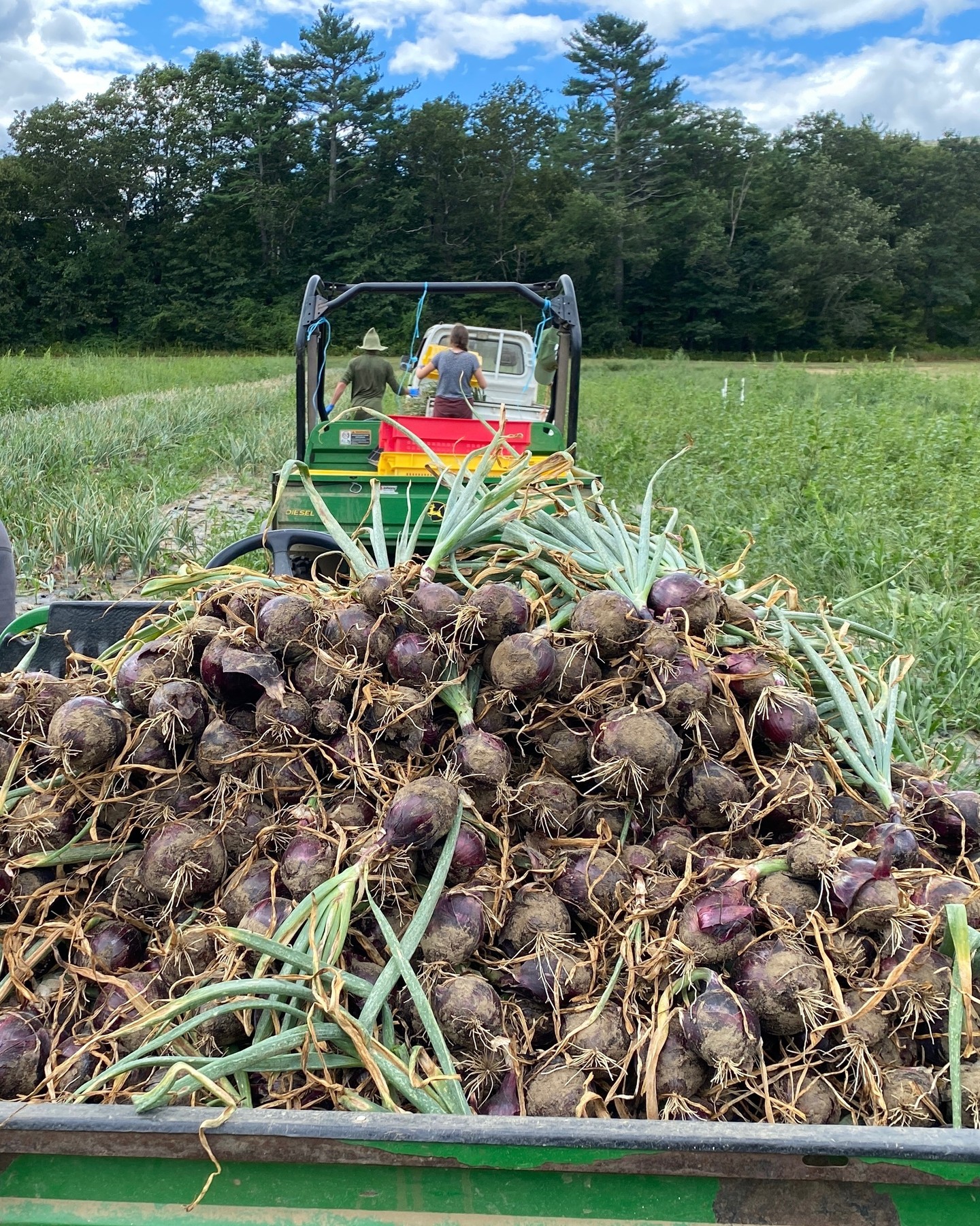We're seeing orange. Check out the latest Farm Newsletter. Link will be in BIO.
We're a little dusty, but still kicking!