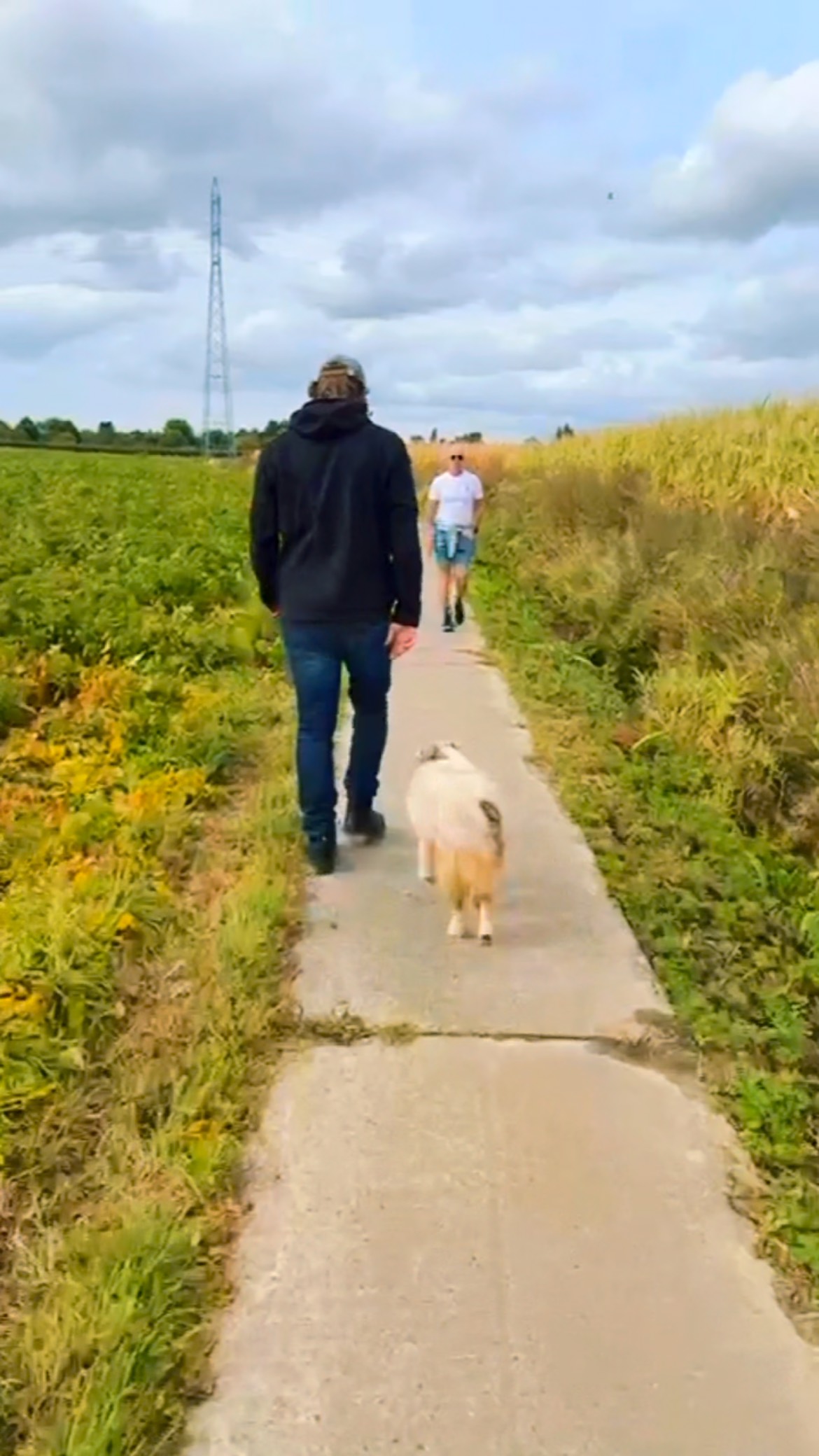 Pippa, Border Collie, was zenuwachtig en kon moeilijk rustig wandelen. Pippa was al naar 2 scholen geweest. Samen gingen we aan de slag met een wandeltraject. De evolutie is ondertussen goed. Ook los loop Pippa goed mee. Blij te kunnen helpen. We doen@ons best en werken verder!🐾💪 #border #bordecolliepuppy #bordercollie #bordercollieofinstagram #hondenwandeling #trekkenaandelijn #hondengedragstherapie #hondentraining #hondengedragstherapeut
