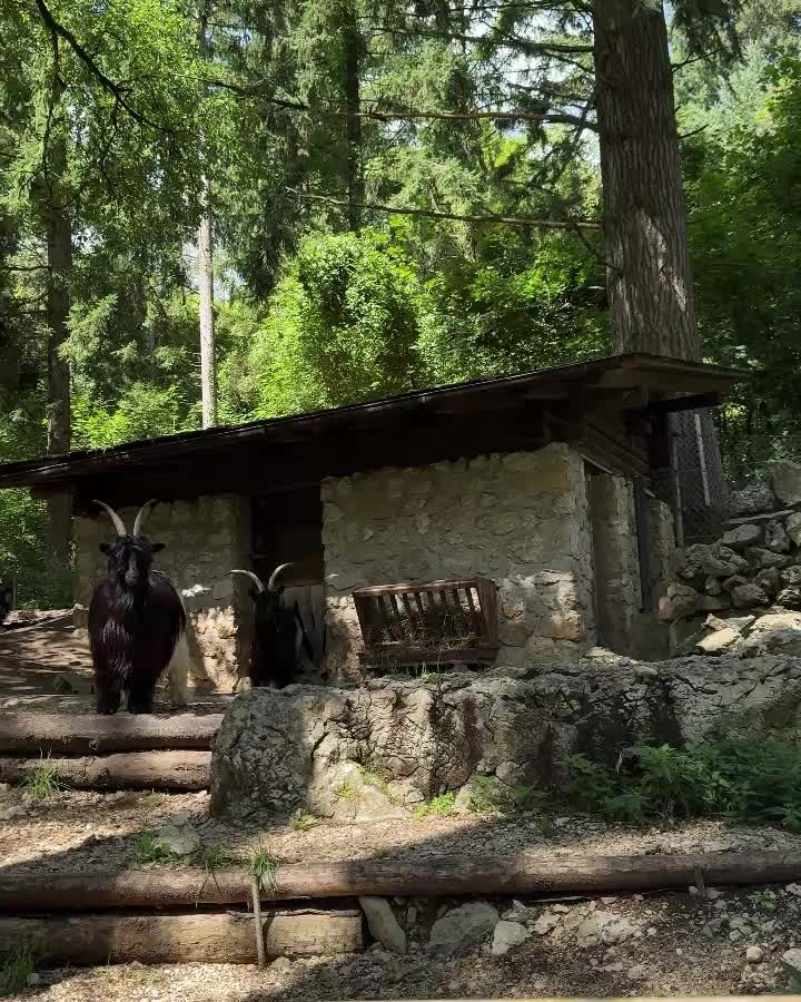 Einfach mal raus aus dem Alltag. 🌿
Gemeinsam durch die Taubenlochschlucht, lachen, reden und geniessen.🚶♂️🚶♀️
zum Abschluss ein gemütlicher Apéro im Restaurant des Gorges.🥂
#Teamausflug #ramseyerwerkzeugbauag #lachen