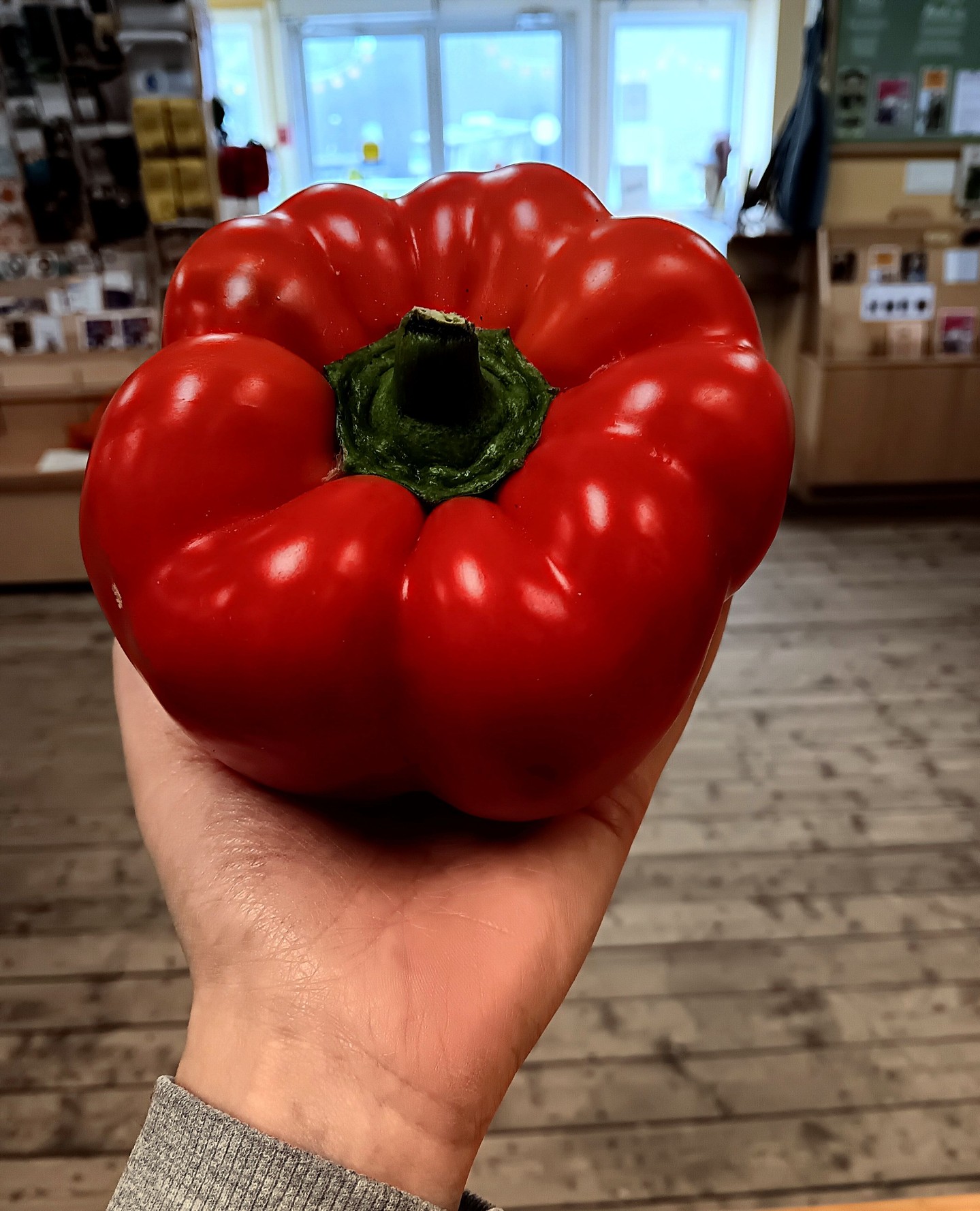 There was a great variety of fruits and vegetables being carted around during the pack this morning, including this huge pepper from What On Earth Farms!â
â
#wolfvillefarmersmarket #wolfville #annapolisvalley #novascotia #farmersmarket #wfm2go #shoplocal #eatlocal #buylocal #supportlocal #freshproduce #community #letsdothis