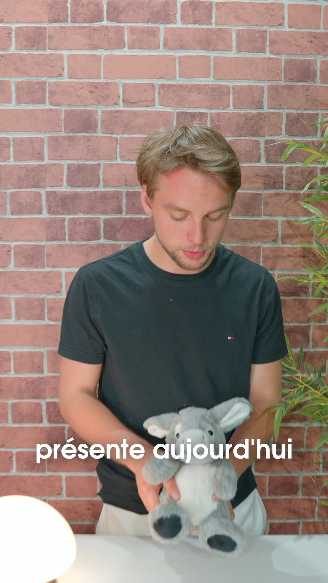 Douceur, tendresse et réconfort avec la peluche "Eddy" 🧸
Un compagnon idéal pour petits et grands, toujours prêt à partager vos moments. ✨
À câliner sans modération !
Notre site : lecomptoirdesauthentics.com
#peluche #doudou #cadeau #madeinfrance