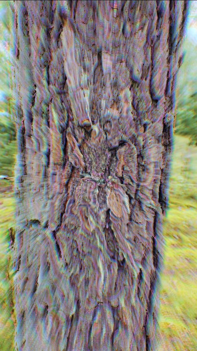 This tree knows some stuff ✌️👽✌️