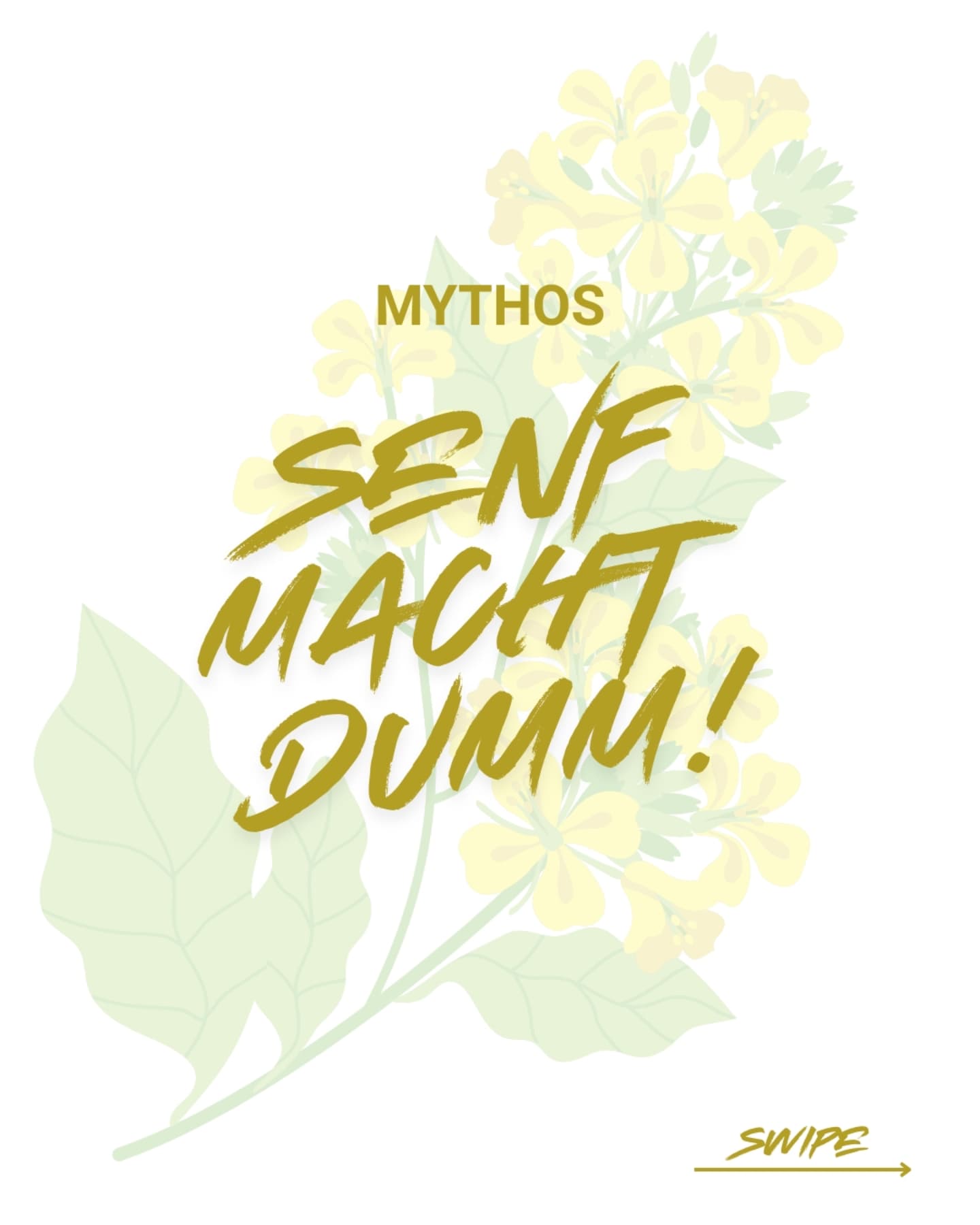 "Senf macht dumm?" – Nicht der Einbecker!
Würze mit Verstand🧠💡
#senf #hof #bio #regional #bioland #genialregional #Dassel #Solling #Einbeck #kaltvermahlen #gesund #healthy