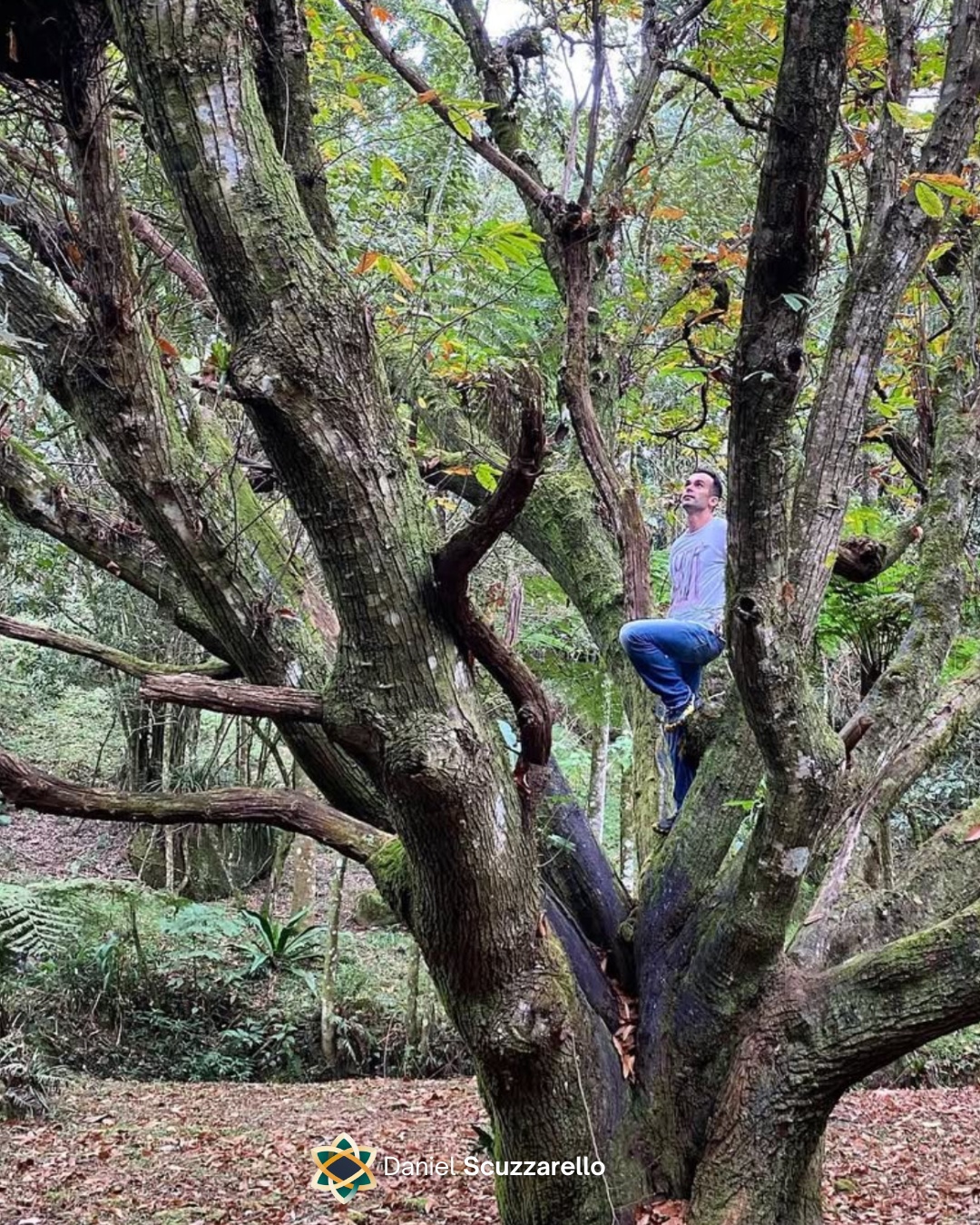 Quantas vezes somos ensinados a esconder a dor — a colocar uma máscara de que “está tudo bem” mesmo quando, por dentro, estamos em pedaços.
E é justamente aí que mora o risco: na solidão invisível, no peso carregado em silêncio.
Não precisamos caminhar sozinhos.
Seja como homens, pais, profissionais ou líderes, todos nós temos momentos de vulnerabilidade. Reconhecer isso não é fraqueza — é humanidade.
Falar pode salvar. Ouvir pode salvar. Estar presente pode salvar.
E, acima de tudo, cuidar da nossa saúde mental todos os dias é um ato de coragem.
#mindset #lider #lideranca #pessoas #gestao #liderancaconsciente #mentoria #breathwork #consciousleadership #leader #SetembroAmarelo