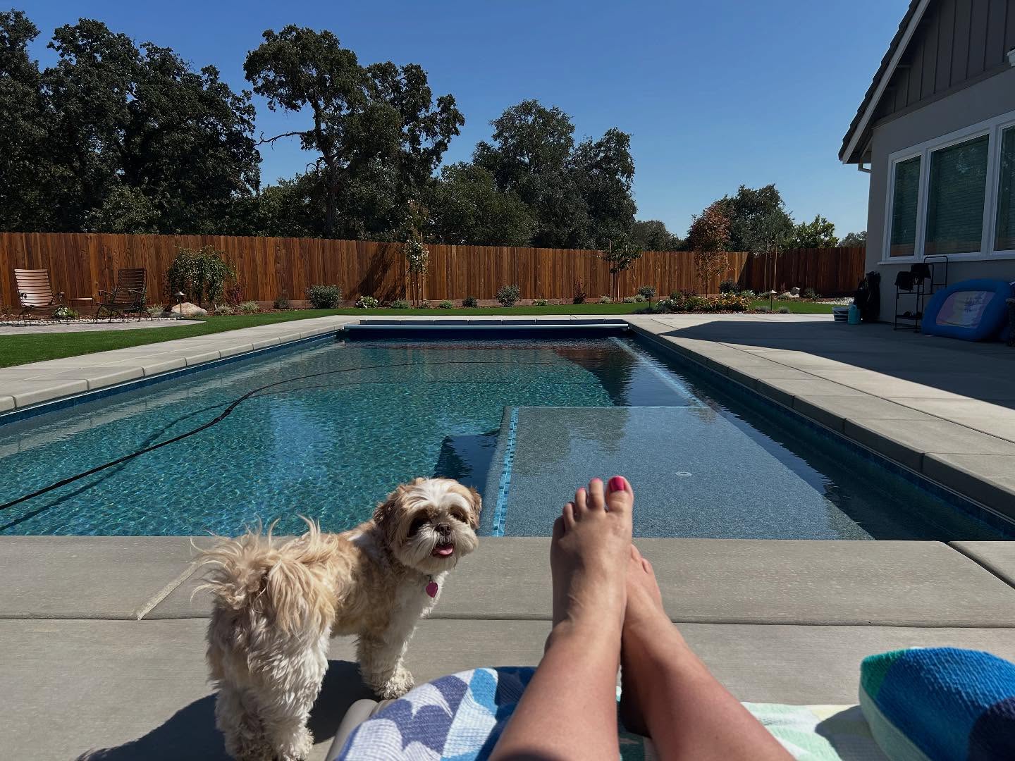 When we were in high school @lfmecchi and I would sunbathe on the roof slathered in baby oil. Times have changed: Sunscreen now, upgraded view, streaming speaker instead of a boombox, more material on the swimwear, but the sentiment is the same. #sunshine #friendship❤️ #lifeisgood