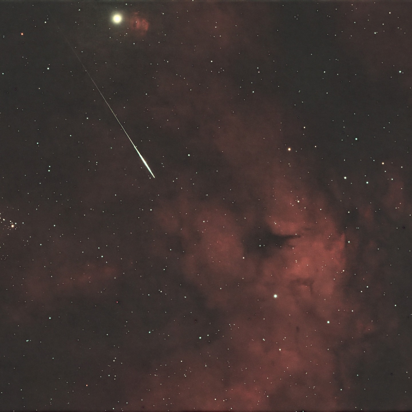 Shooting star photobombed my imaging session of IC 1318 😊 still pretty cool though... #astrophotography