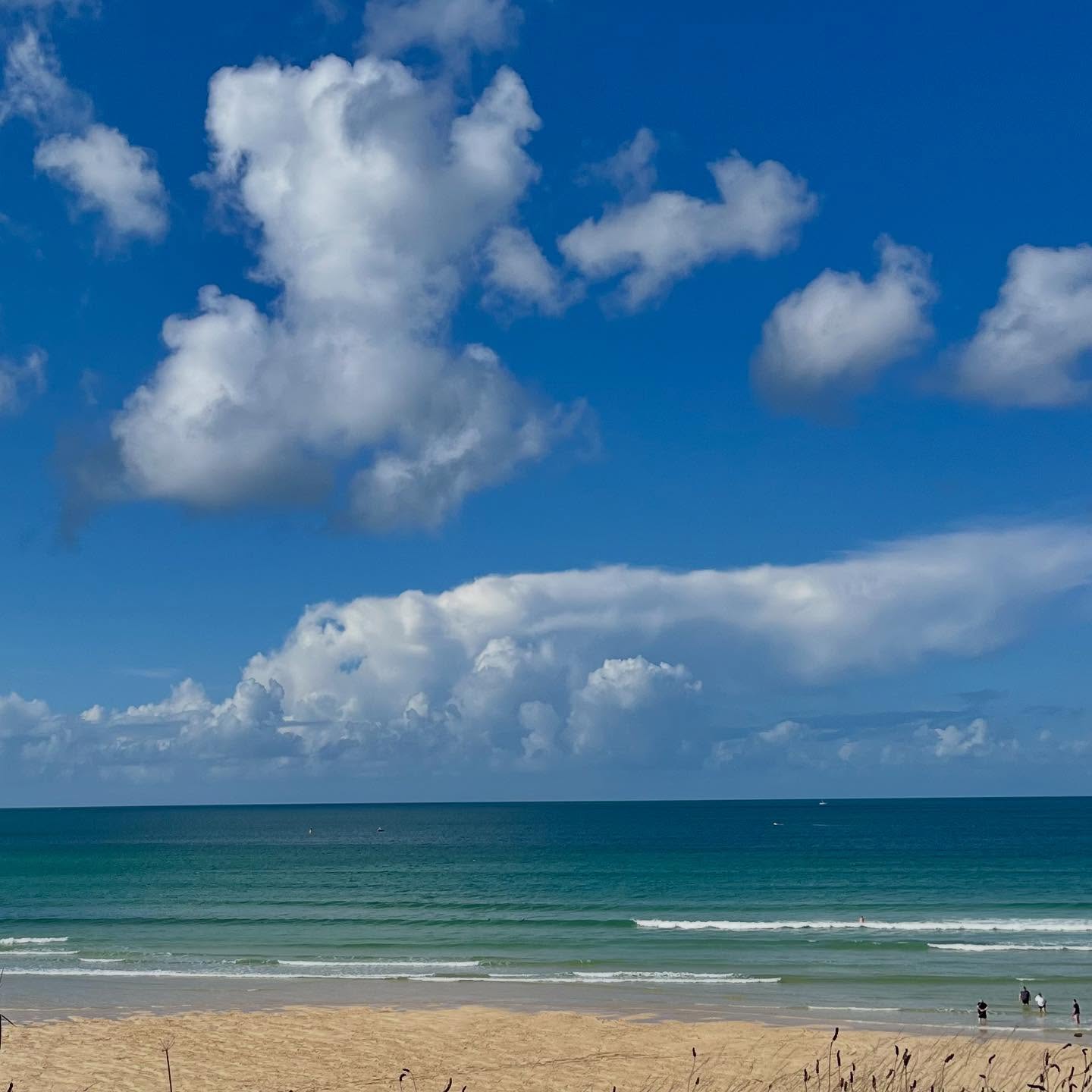 Delicious cake and big mugs of tea @covecafehaylebeach. This view included. And complementary dog biscuits. It’s a win win win.
#figgycottage #figgycottagestives #happystaysbythesea #dogfriendlycornwall #covecafehaylebeach #rivieretowans