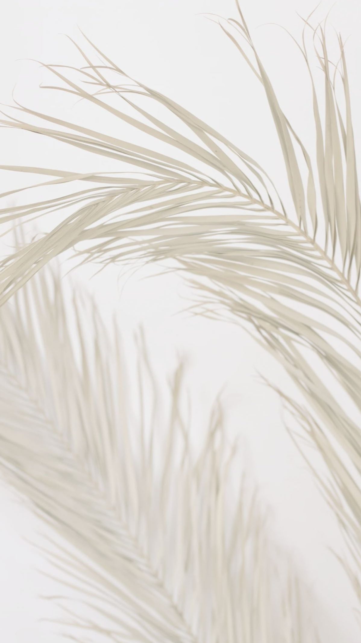 Idk where it came from but here we are now 🤷🏽♀️ #chttanoogatn #socialbutterfly #yapper #DaytonTn #fyp #chattanoogahair #daytontnstylist #rheacountytn