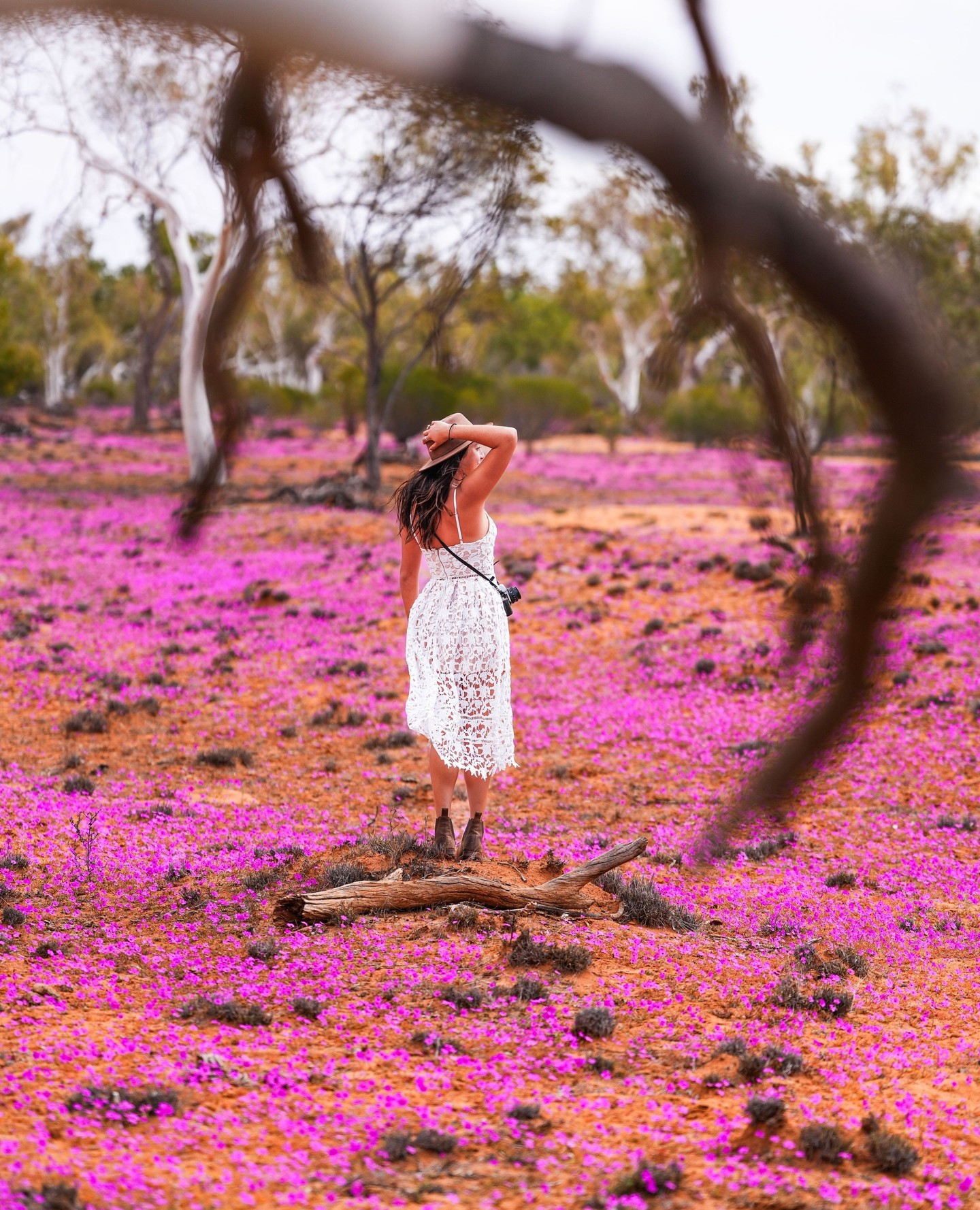 And just like that… the 2025 Gascoyne Food Festival has come to an end. 🌸✨
We’ve shared incredible meals, unforgettable sunsets, and the very best of fresh local Gascoyne produce — and now, as the wildflowers begin to bloom, we say goodbye to another amazing year.
A massive thank you to our brilliant media team, Scott & Jydee, who travelled far and wide capturing every highlight and special moment along the way.
Now it’s your turn — upload a pic from your favourite event, tag us, and let’s celebrate this year’s festival one last time.
Make sure you keep following us to stay up to date with the latest festival news and be the first to know when next year’s program is released.
📷 @scottplume @jydeeleo
