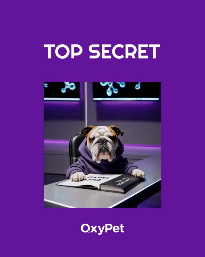 LEAKED FROM OXYPET HQ 🔐
One of our insiders may have accidentally shared a preview…
We can’t confirm or deny what’s in the file.
Coming soon.
🐾 Tap to get access before the rest of the pack:
https://www.oxypet.co.uk/product-page/oxypet-oxygen-water-subscription
#OxyPetHQ #ProtocolLeak #FlatFacedDogs #DogWellnessDrop #OxyPetProtocol #DogParents #PetWellnessRedefined #OutOfStockEnergy #FrenchiesOfInstagram #BrachycephalicBreeds