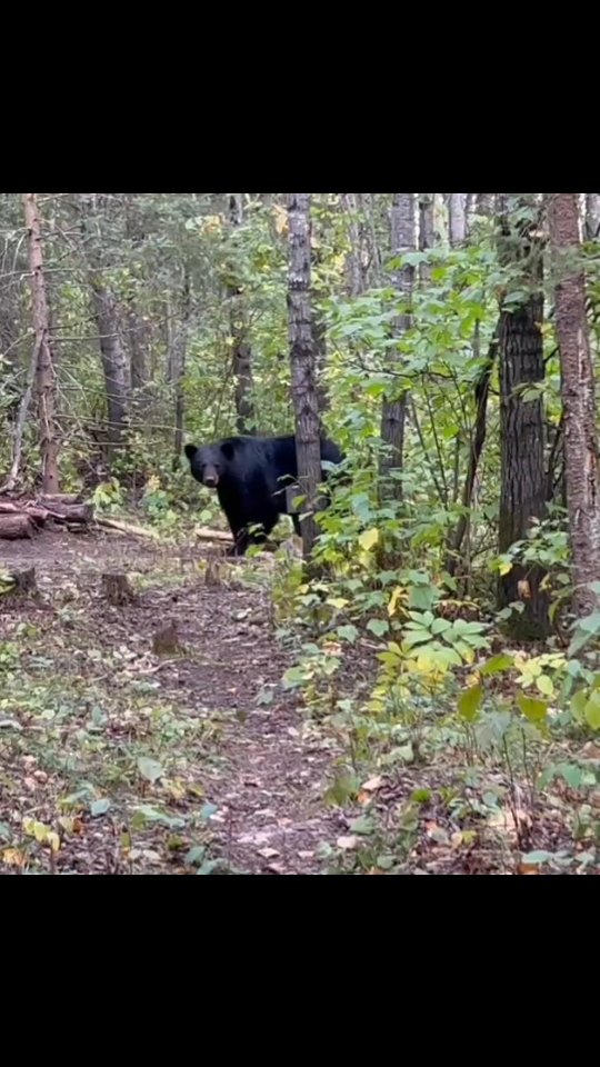 Know your reaction to change! WASP! Wildlife Awareness and Predator Safety course. Nov. 29, 2025. #outdooreducation #preparedness #landbased #corporatetraining #jordansprinciple #survival #wildlife #predator #safety