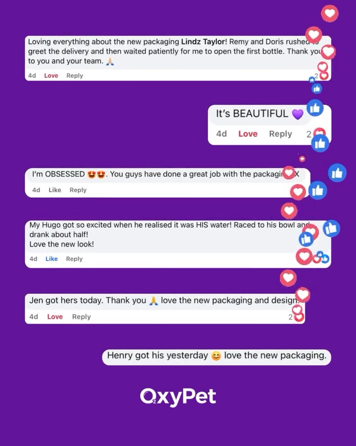We've been busy...
New bottle, new packaging and a new protocol for flat-faced breeds.
Here’s the early feedback.
Get your access to the launch:
https://www.oxypet.co.uk/product-page/oxypet-oxygen-water-subscription
#TestedByDogs #OxyPetProtocol #PetWellnessDrop #FlatFacedBreeds #HealthyDogs #DogWellness #OutOfStockEnergy #FrenchiesOfInstagram #OxyPet