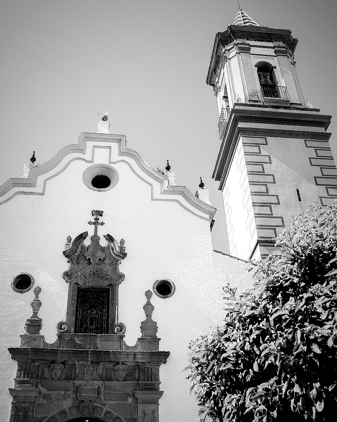 Ana & Antonio 🫶🏼
.
.
.
.
#weddingphotographer #fotografodebodasmalaga #bodasmalaga #bodascadiz #fotografocostadelsol